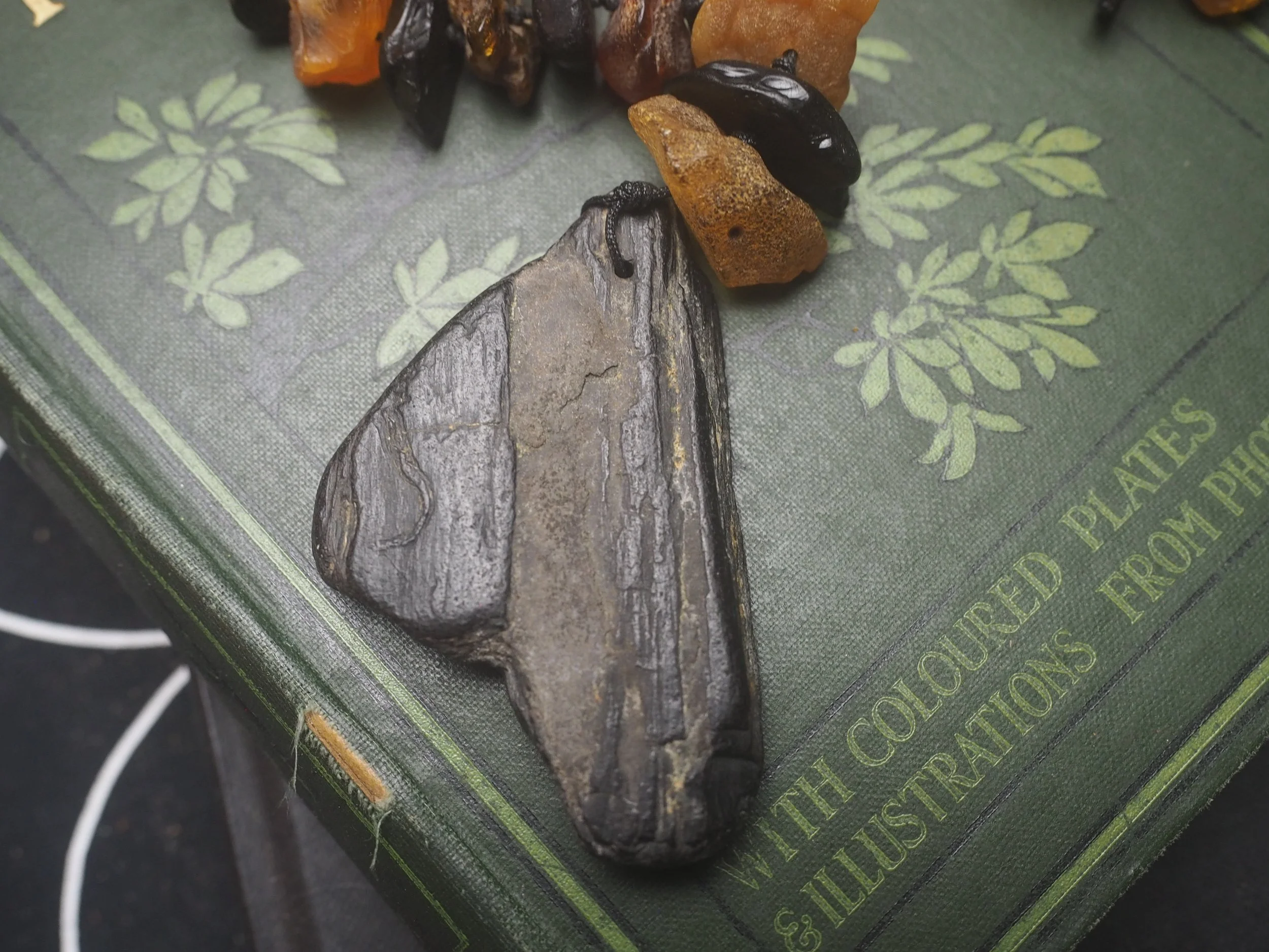 P6120715.JPG