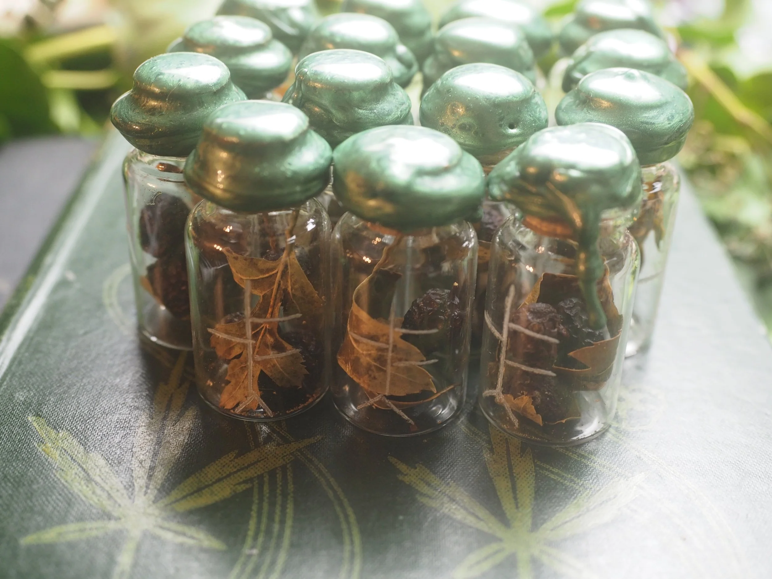 A Hawthorn Charm For Heart Healing - Imbolc Made