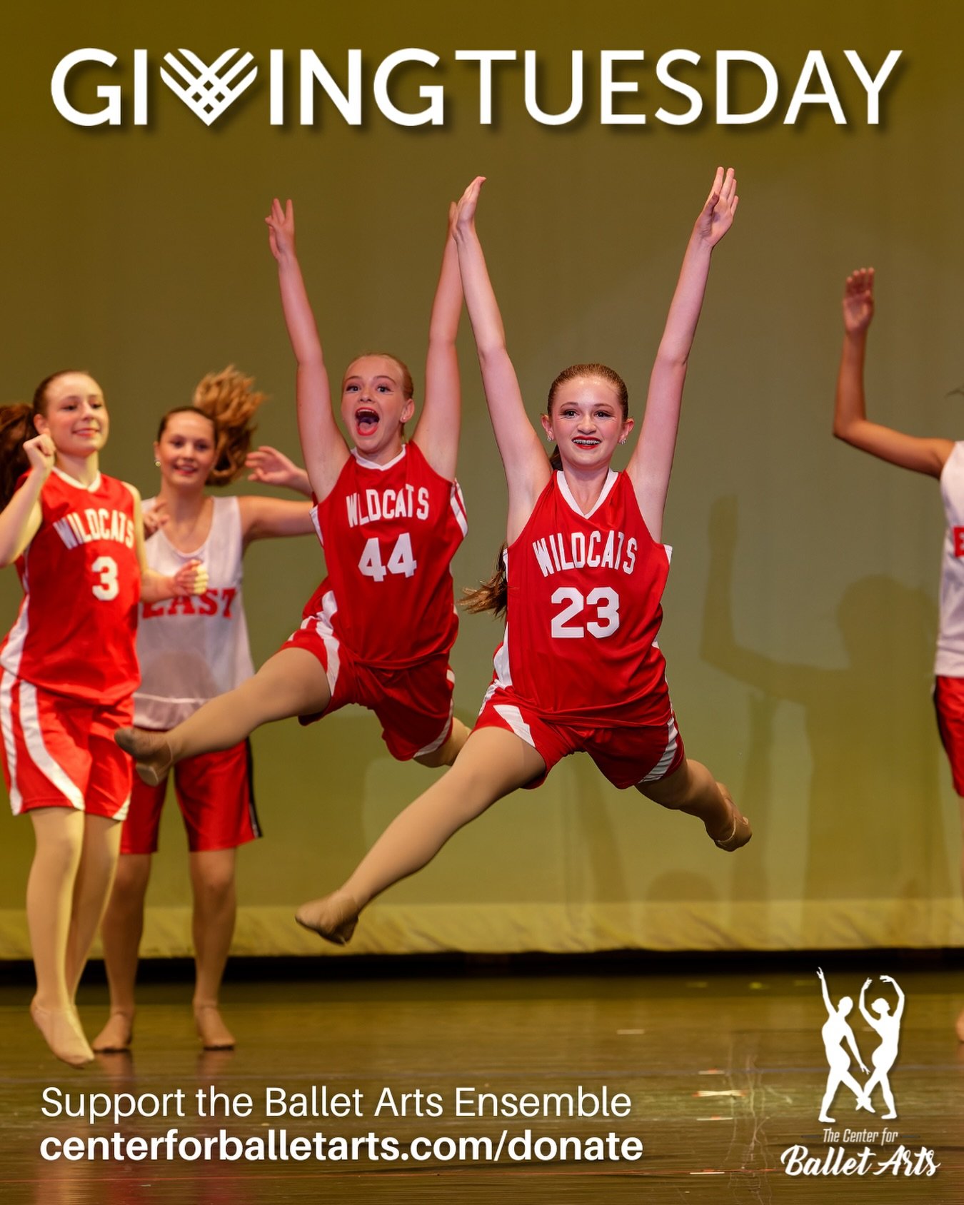 Make our dreams come true! This #GivingTuesday, donate to the Ballet Arts Ensemble and support youth arts education and performance opportunities. 

Your tax-deductible donation to our nonprofit helps us purchase costumes and class props, secure perf