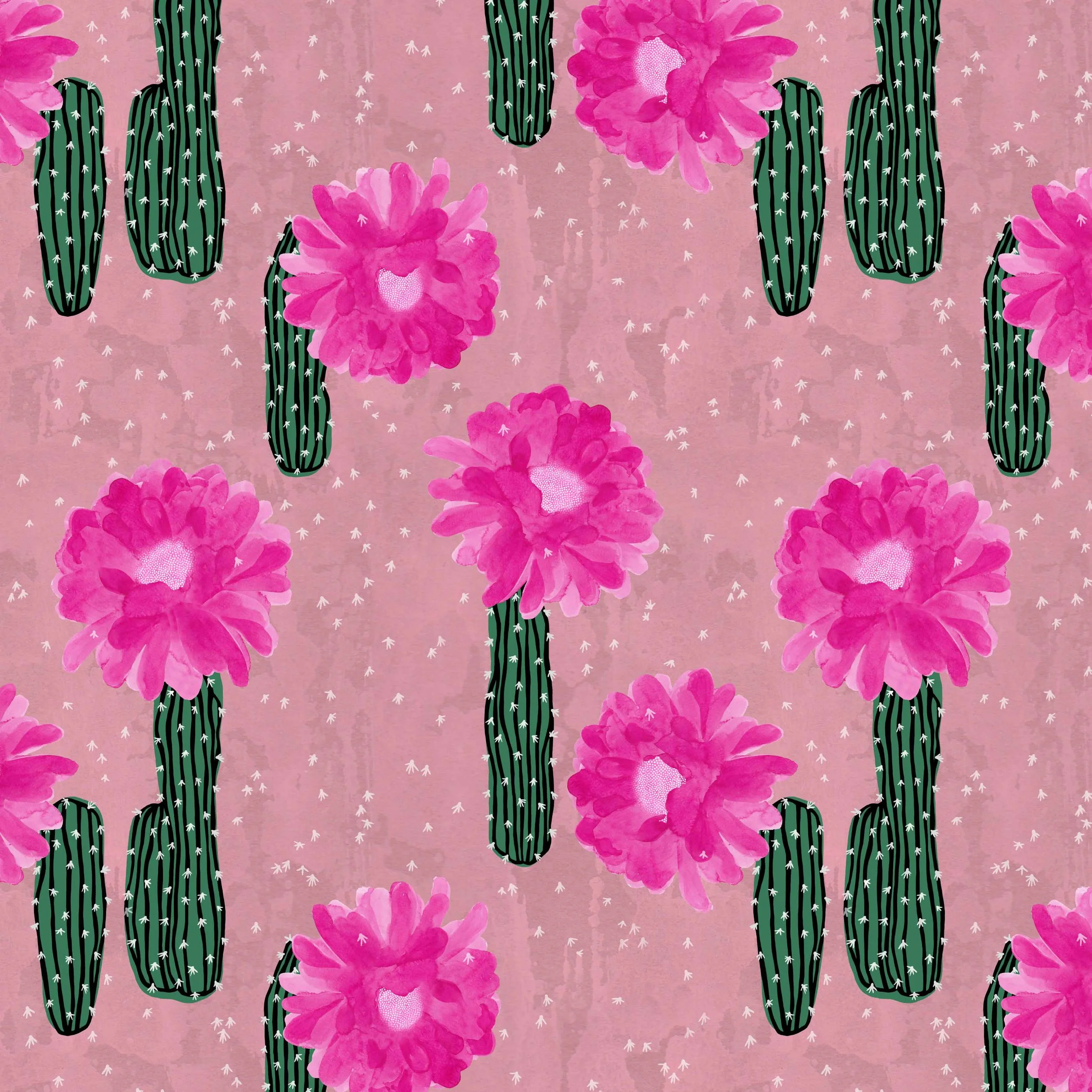 Flowering-Cacti-Magenta.jpg