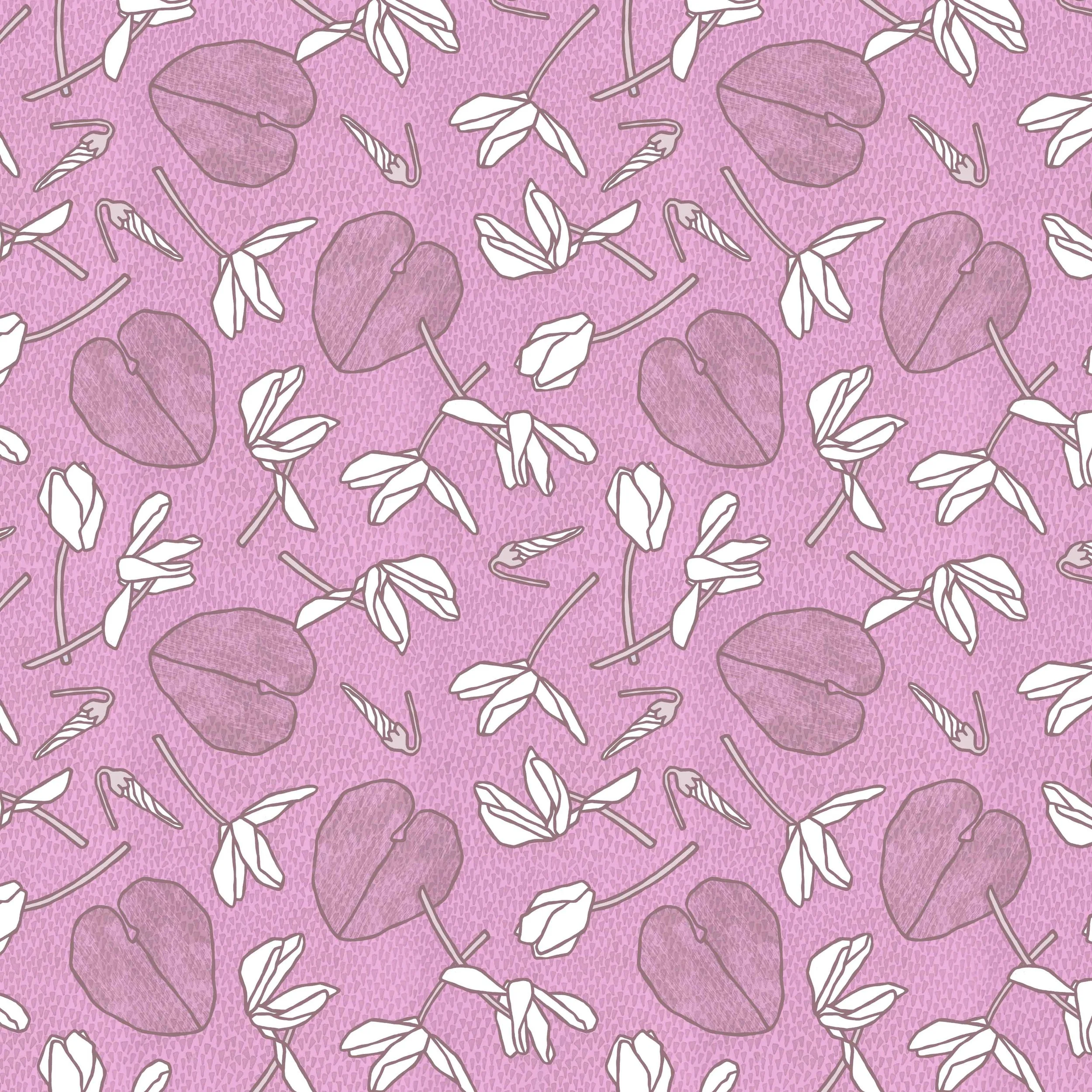 Cyclamen-Berry.jpg