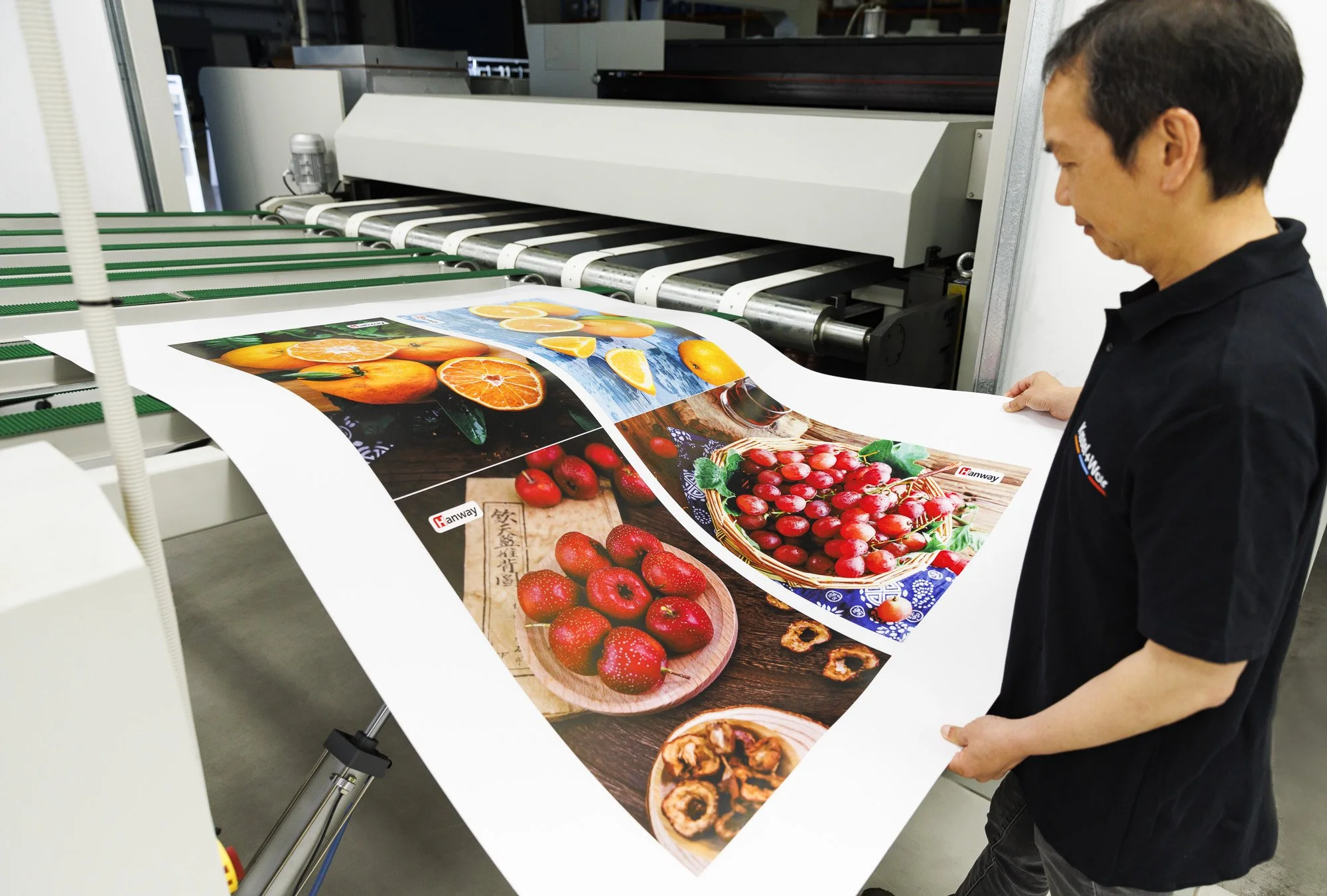industrial digital printer producing packaging sheets showing integrated workflow and production alignment