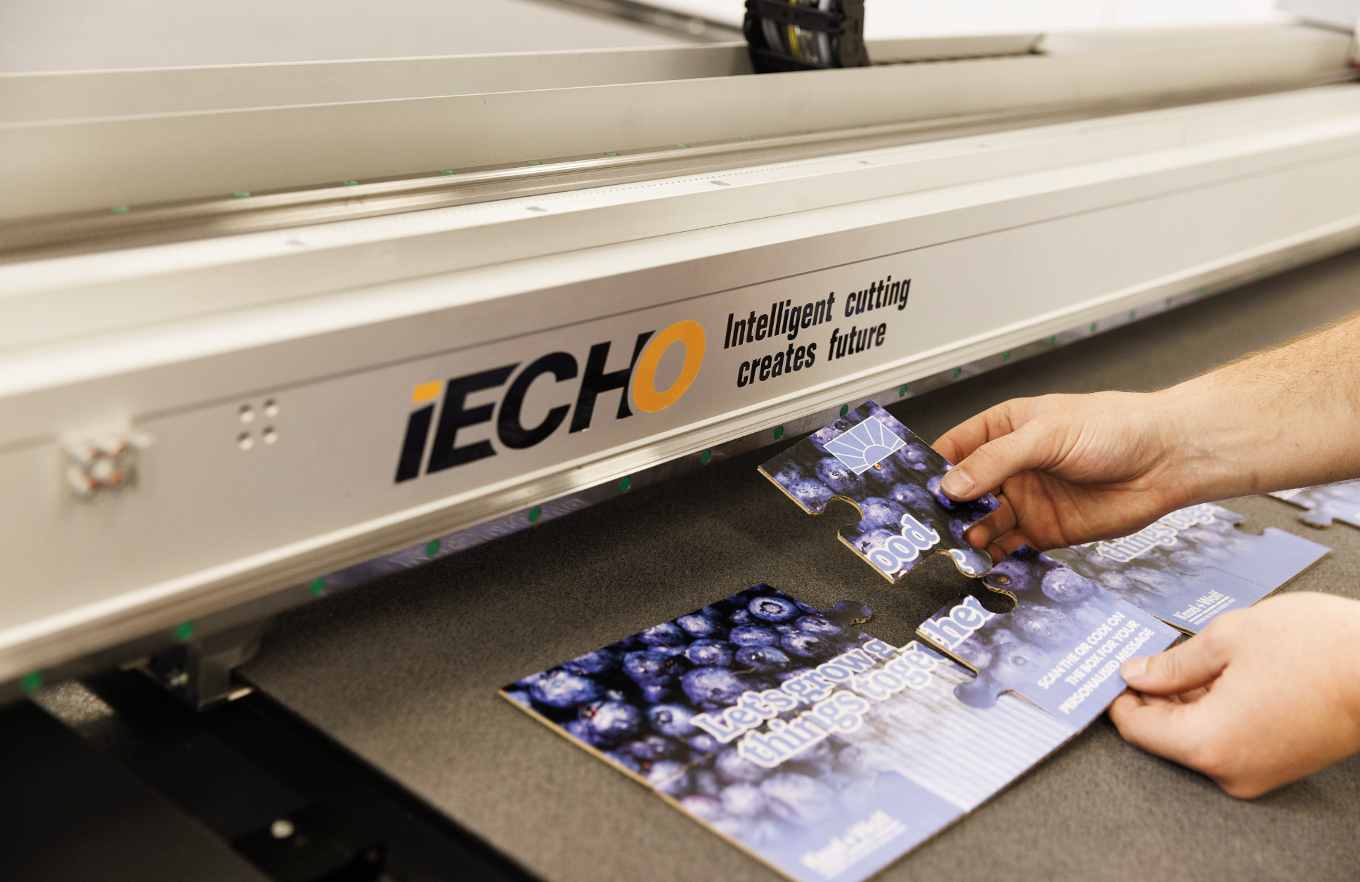 Printed folding-carton sample being removed from an iECHO digital cutting system