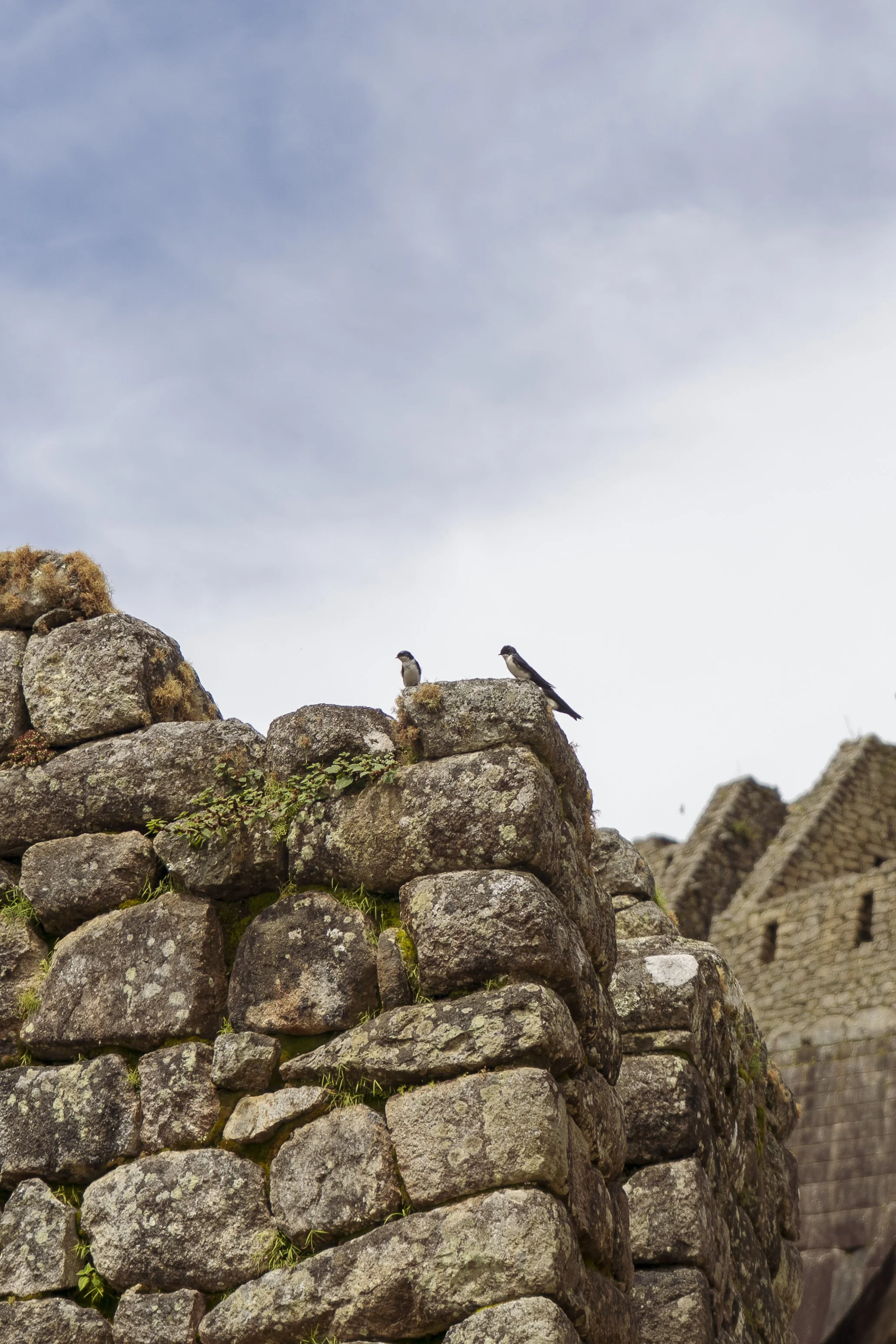 peru-53.jpg