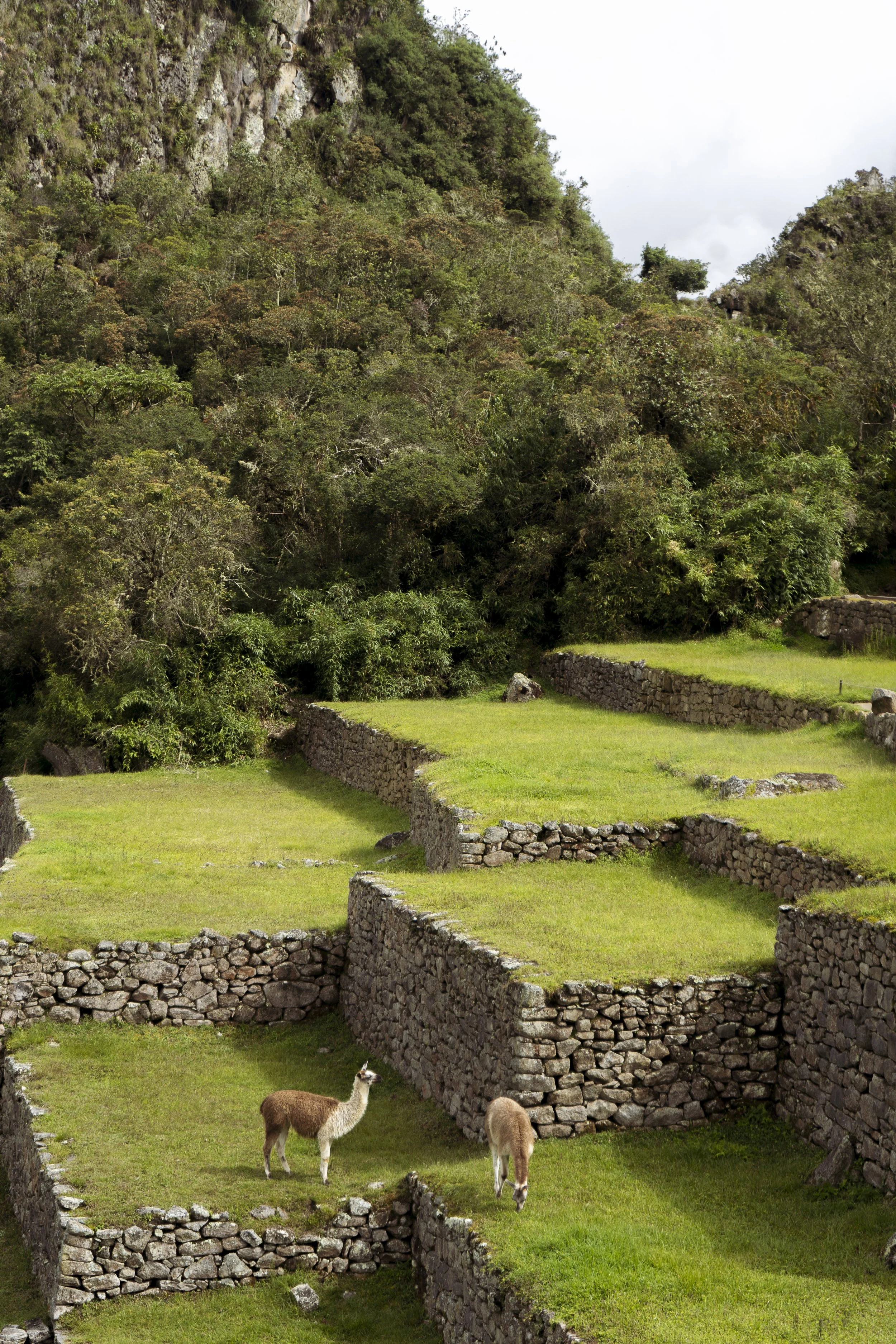 peru-49.jpg