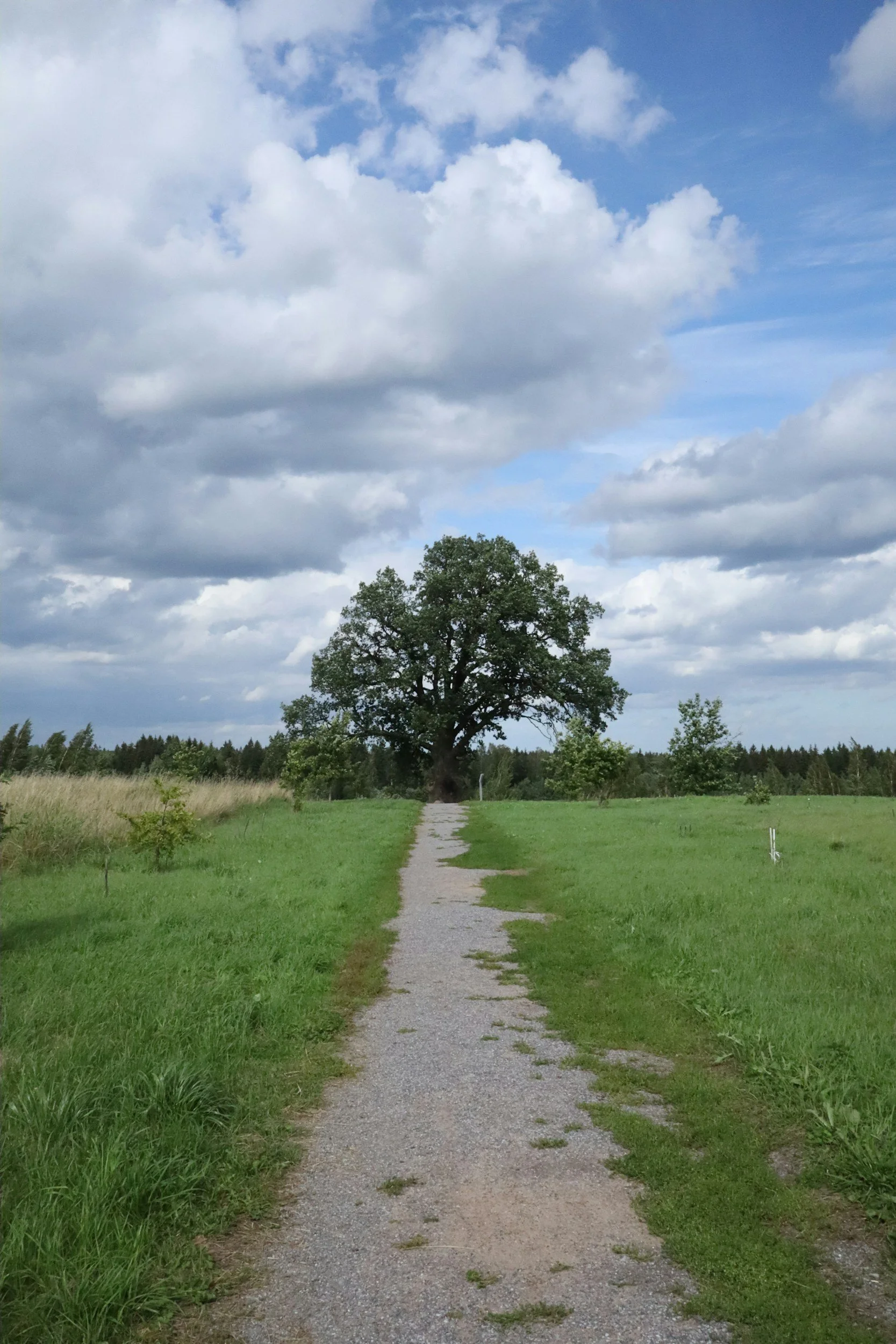 Optimizing the Fertility Referral Pathway: A Guide for Ontario Specialists
