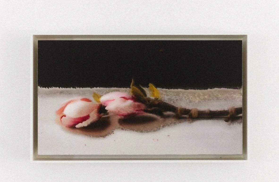 Comparing Glazing Options: Museum Glass vs UV Acrylic