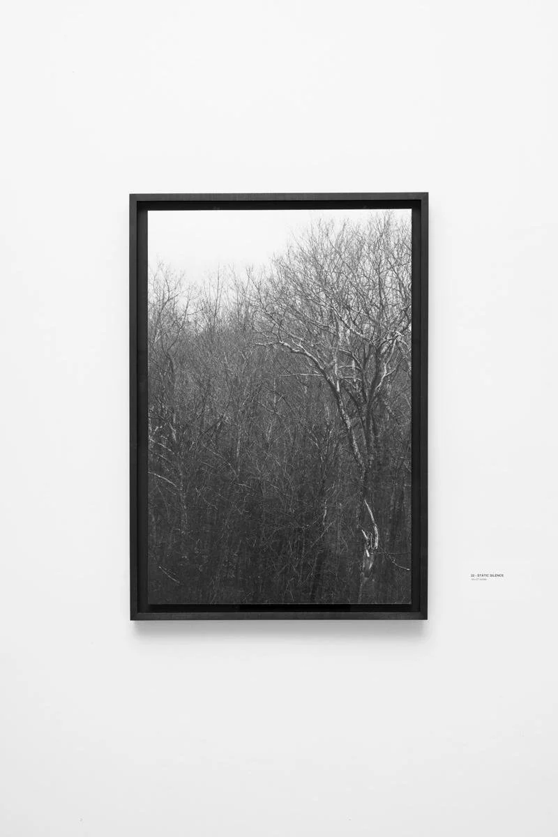 Inkjet print mounted on Dibond, floated over a black rag mat, framed in black-rubbed maple.