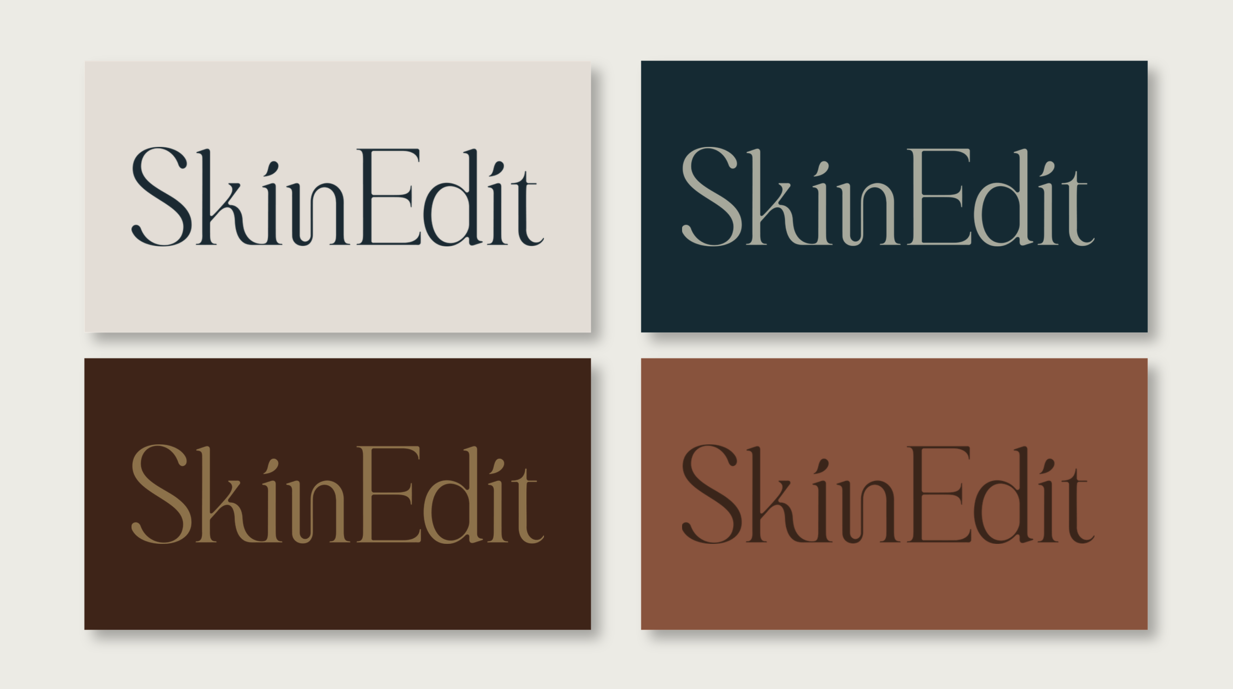 Four color swatches with the text 'SkinEdit' on each, in beige, navy, dark brown, and medium brown backgrounds.