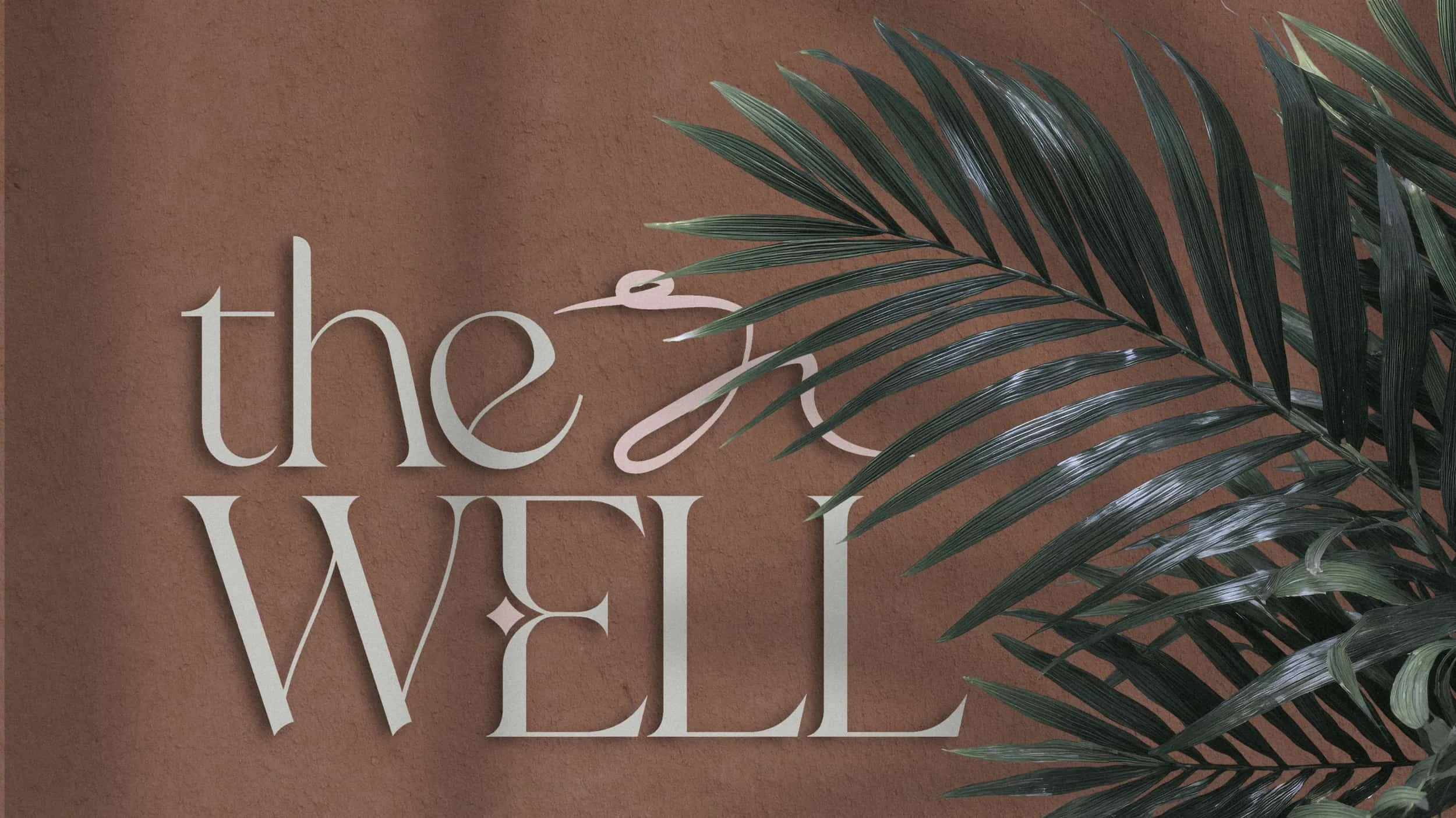 sign on stucco wall with plant