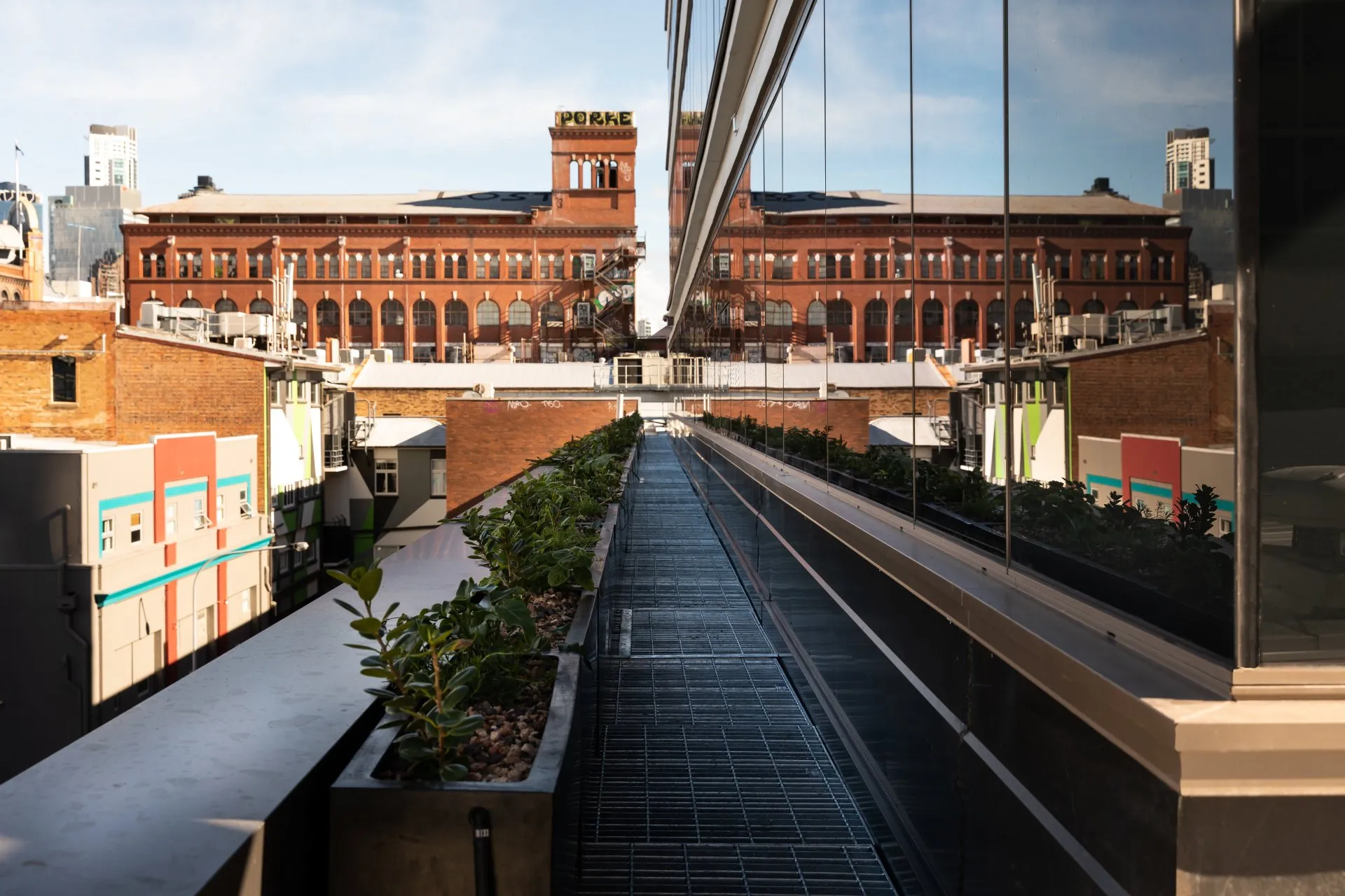 View of city buildings with a glass reflection on the right side, terrace with planters and plants, against a clear sky.