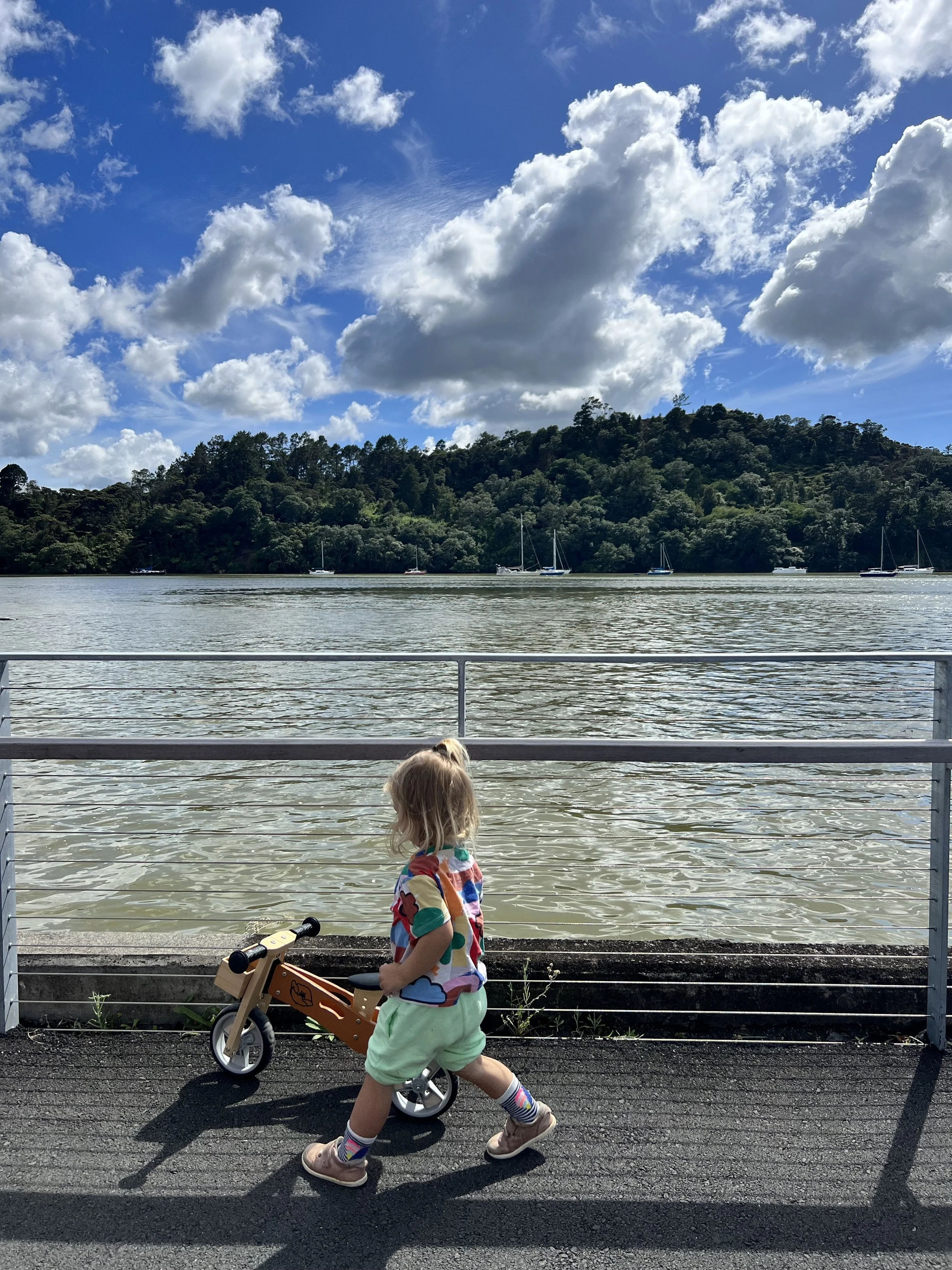 Best Pram Friendly Walks in Auckland