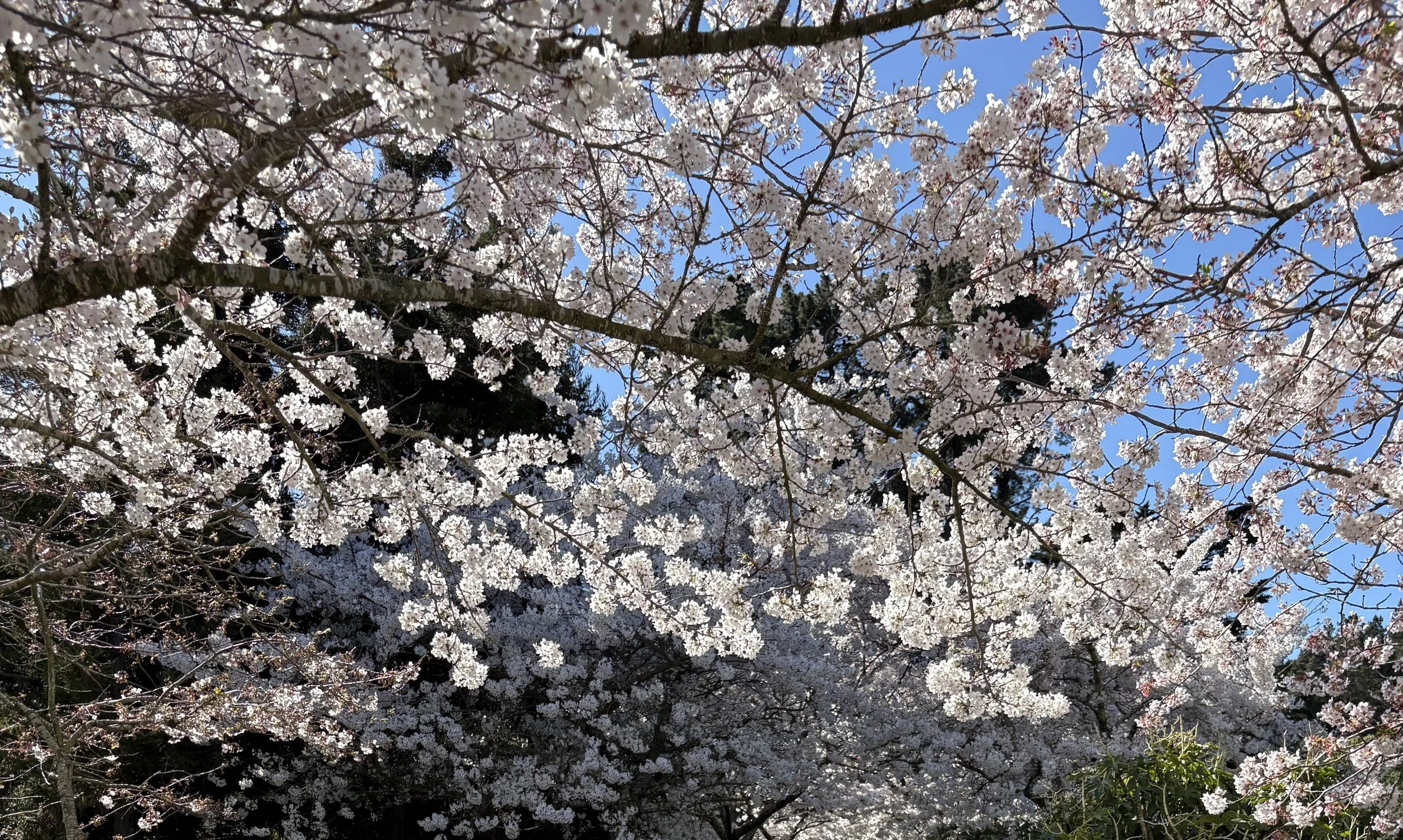 12 Top Things to Do These Spring School Holidays in Christchurch