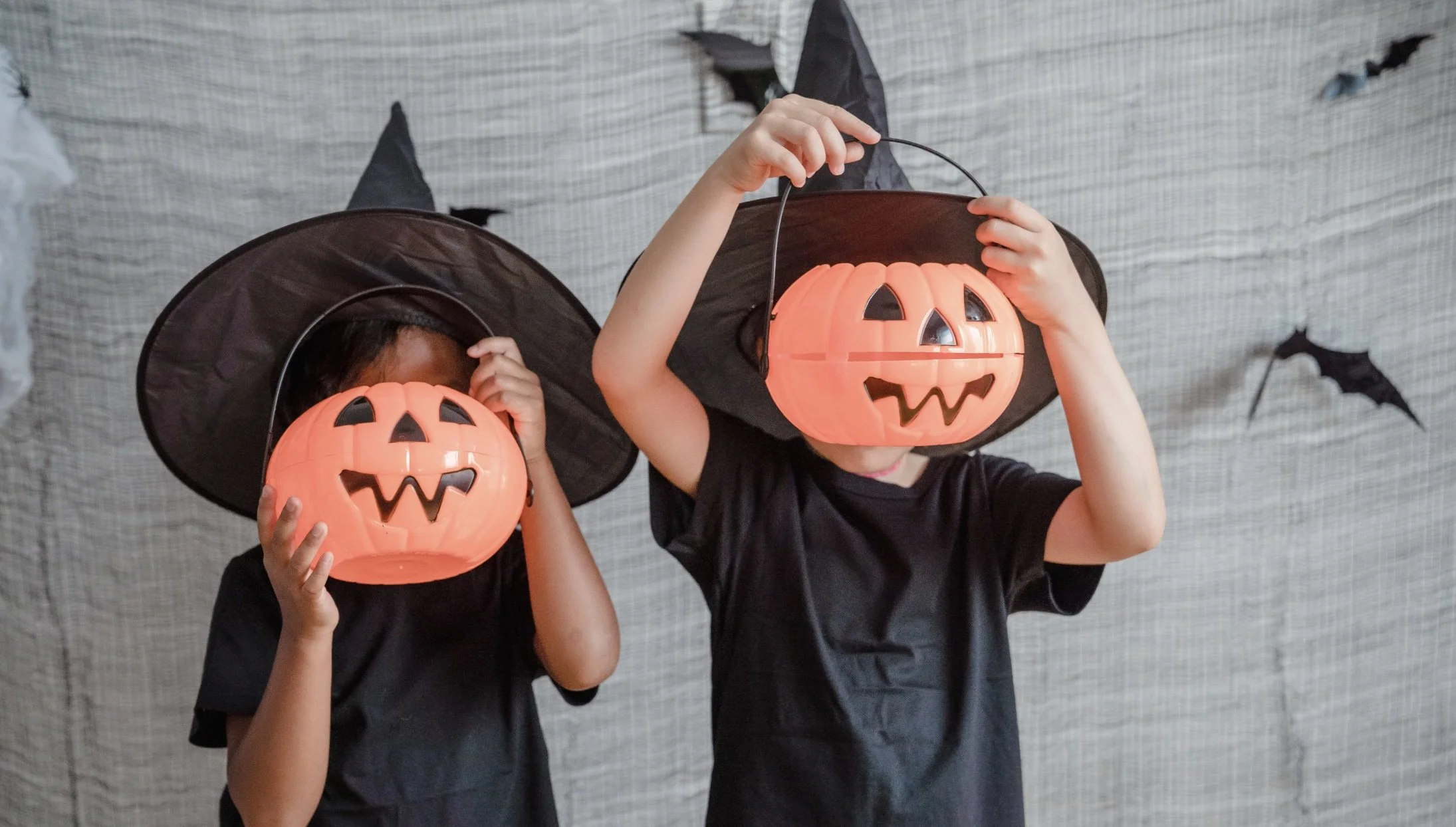 7 Halloween Events and Outing Ideas in Christchurch