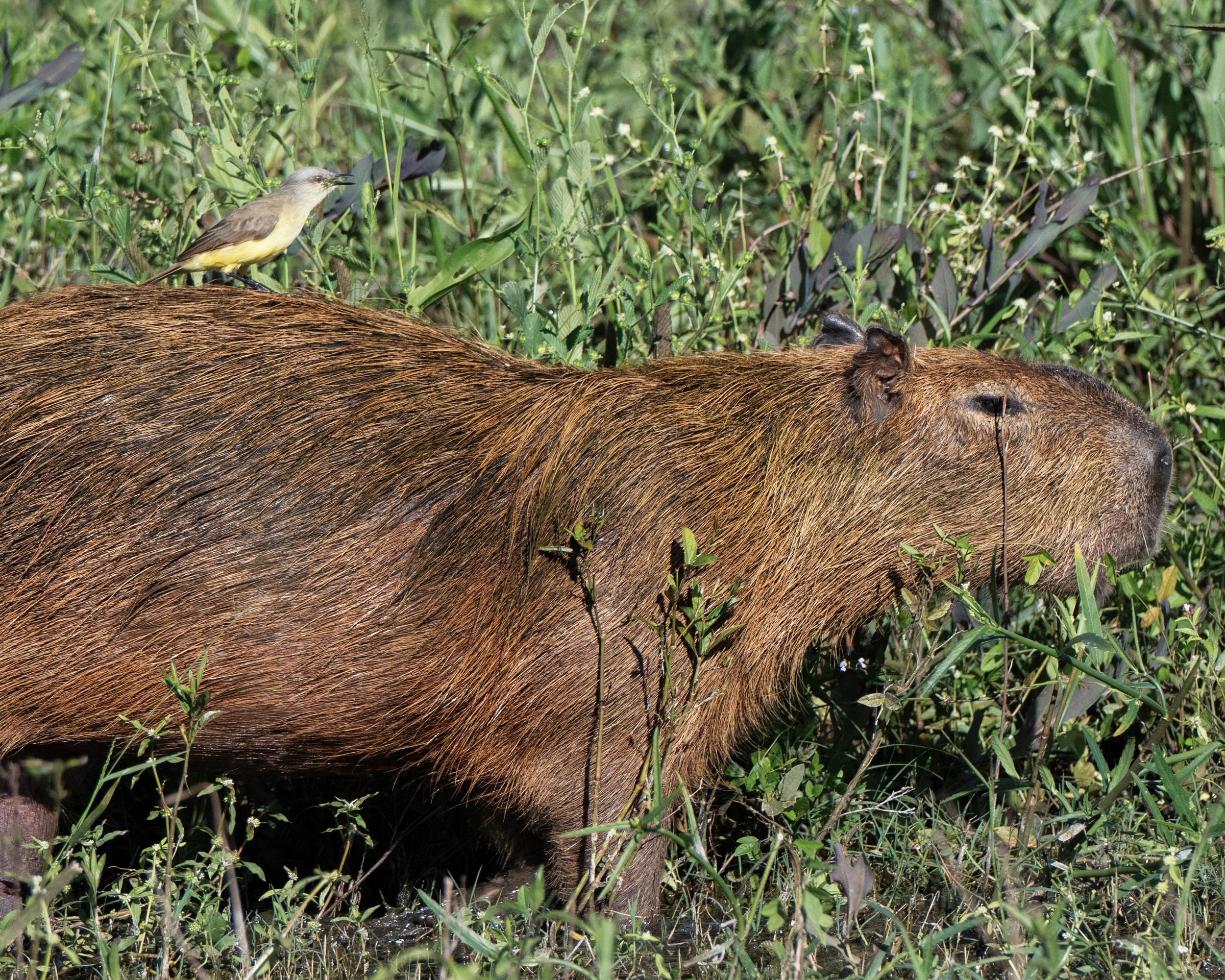 DSC_7293_VSCO (1).jpg