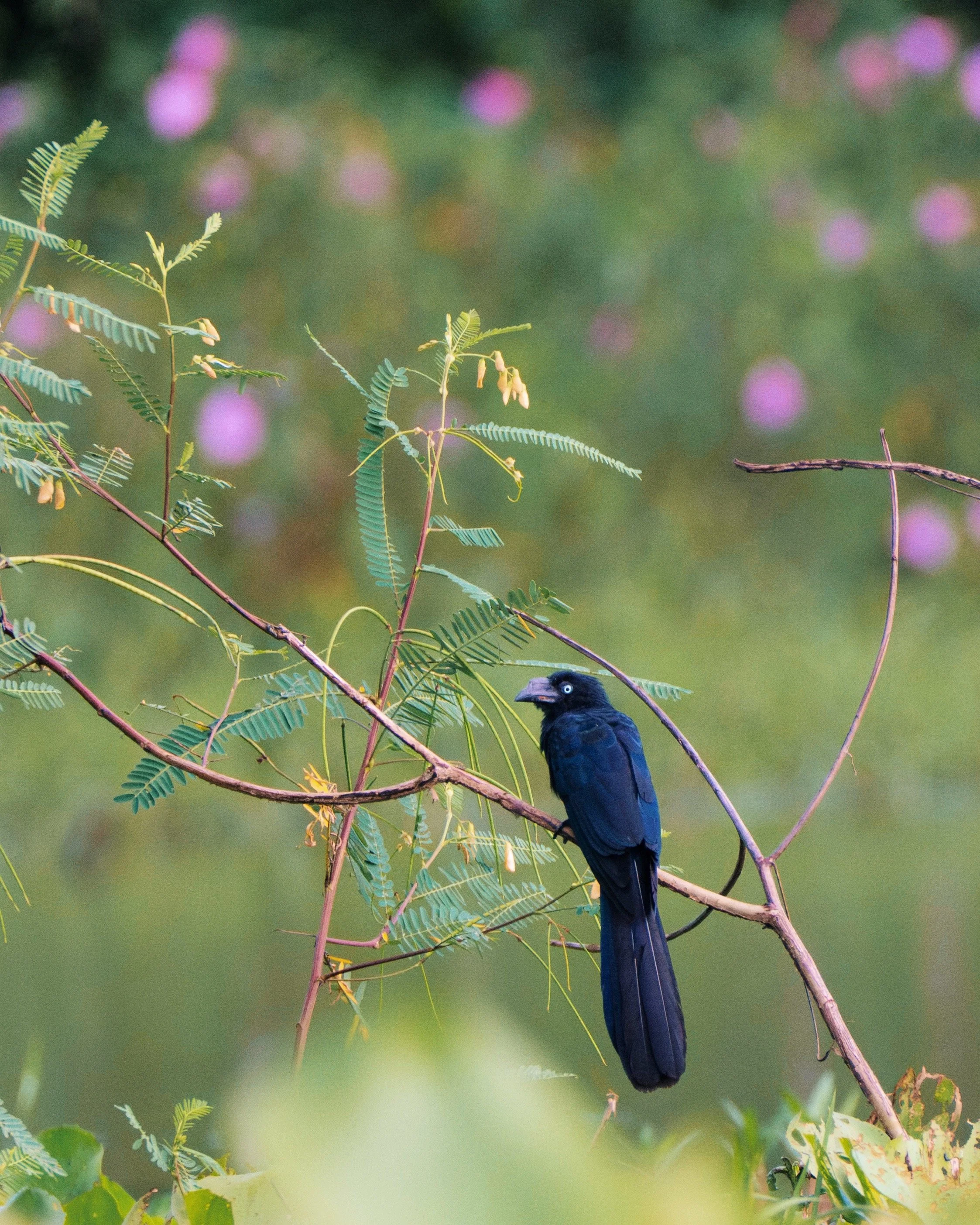 FullSizeRender_VSCO (2).jpg