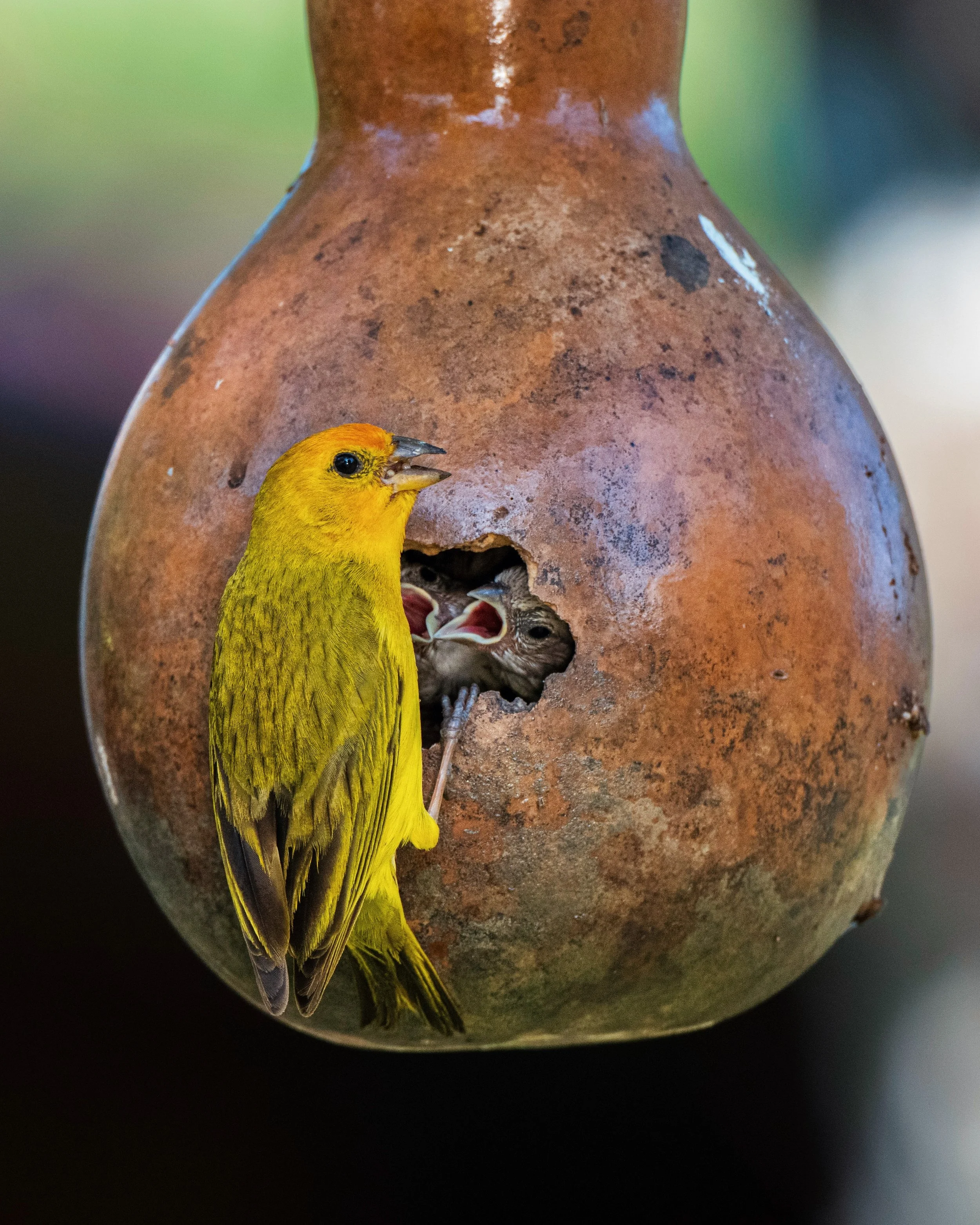 FullSizeRender_VSCO (3).jpg