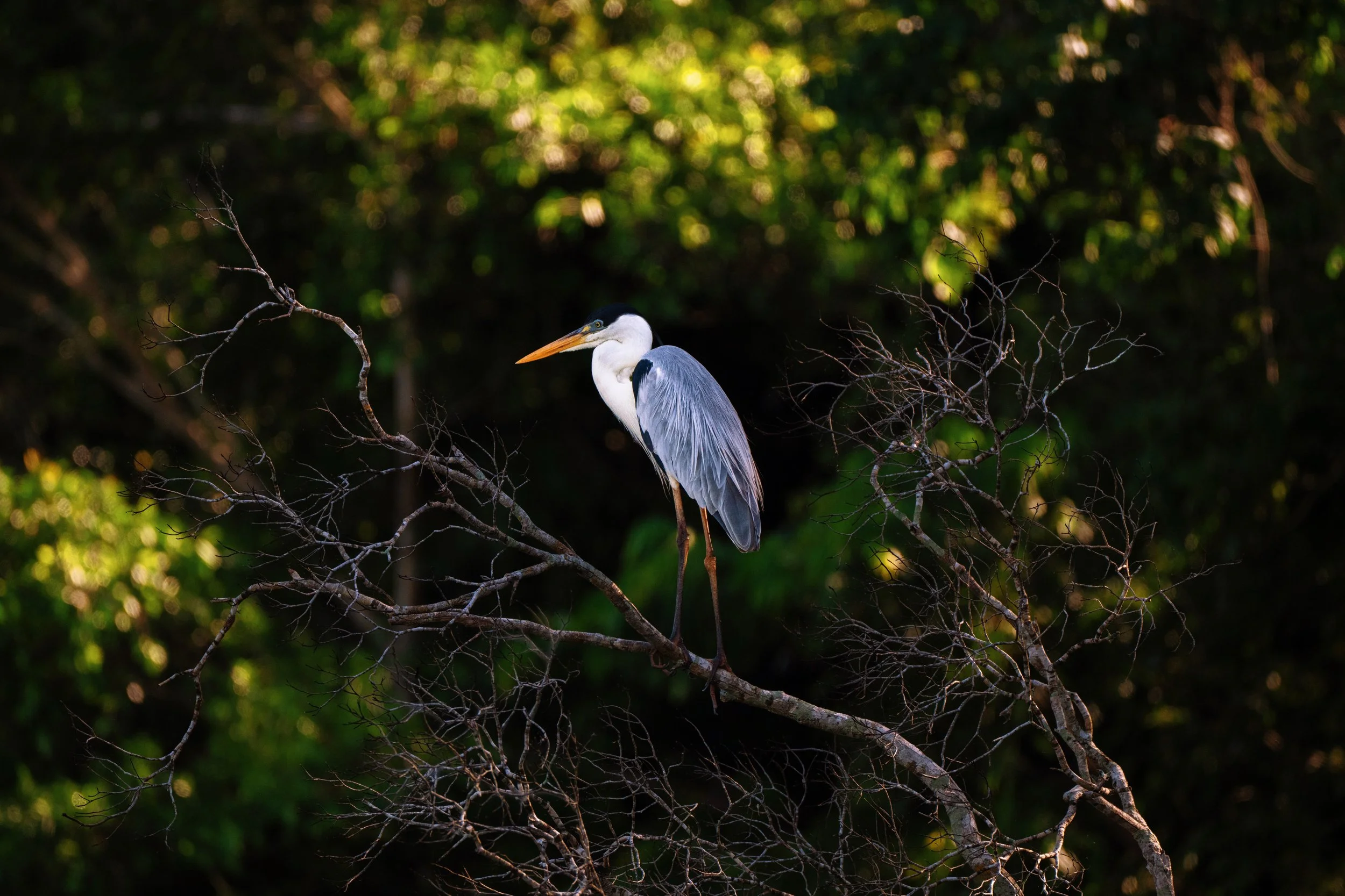 DSC_8643_VSCO (1).jpg