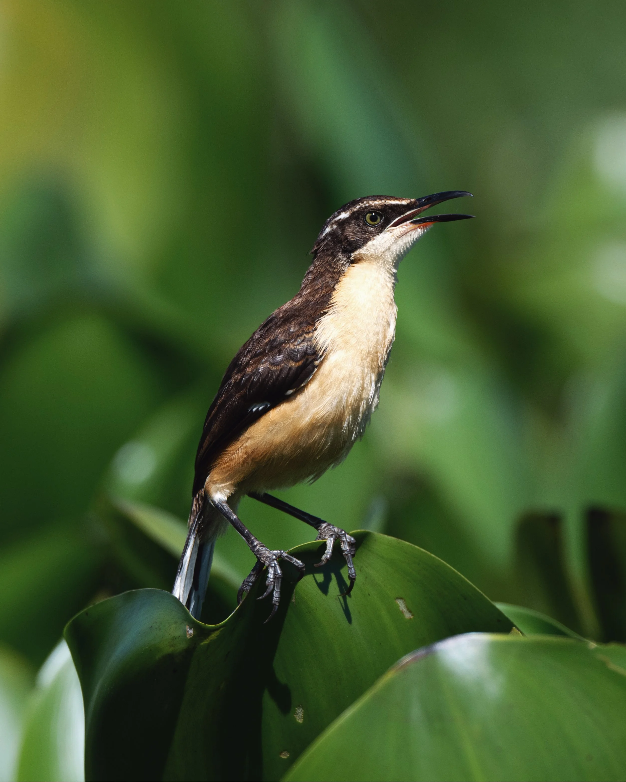 DSC_9183-2_VSCO (1).jpg