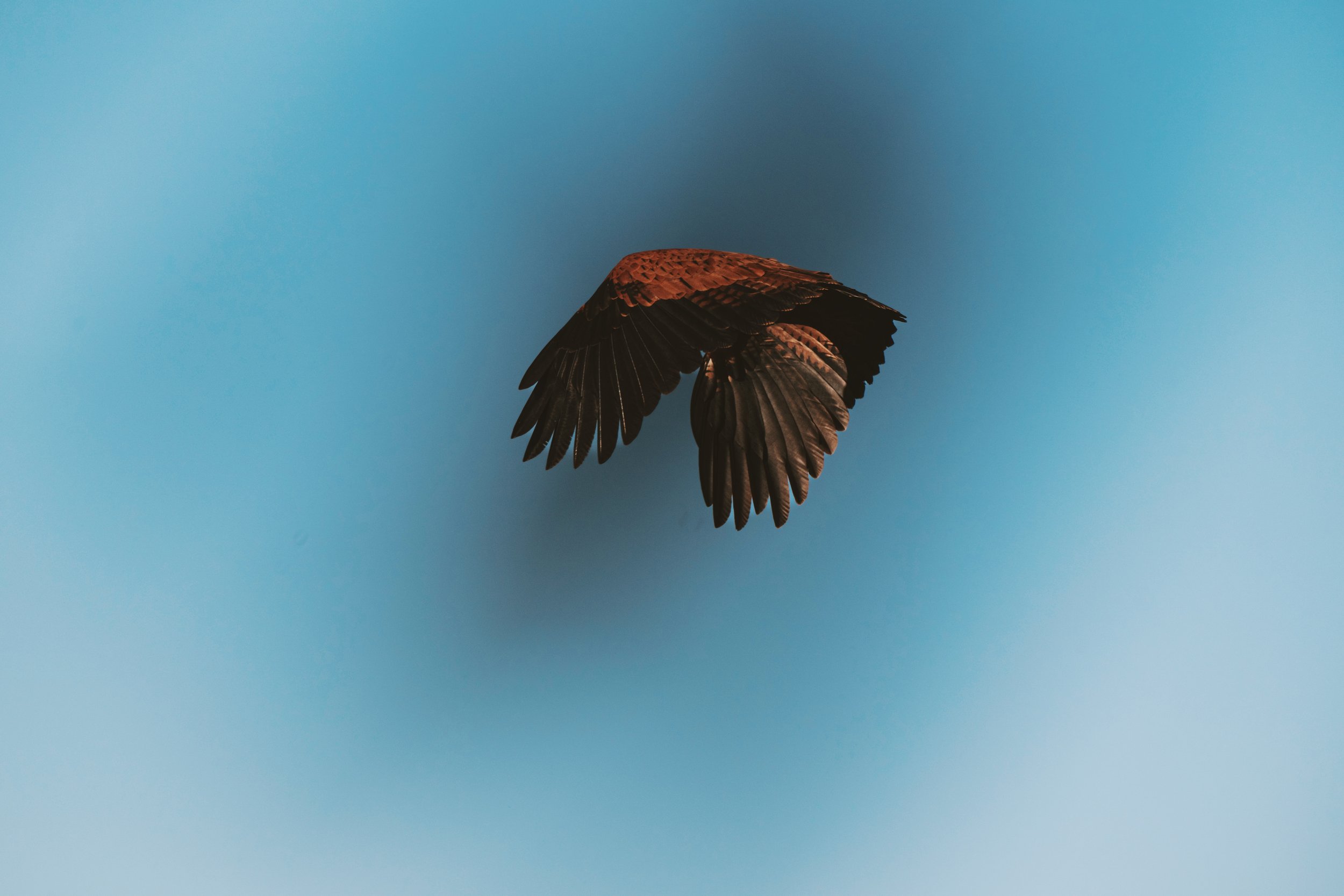 DSC_0102_VSCO (1).jpg