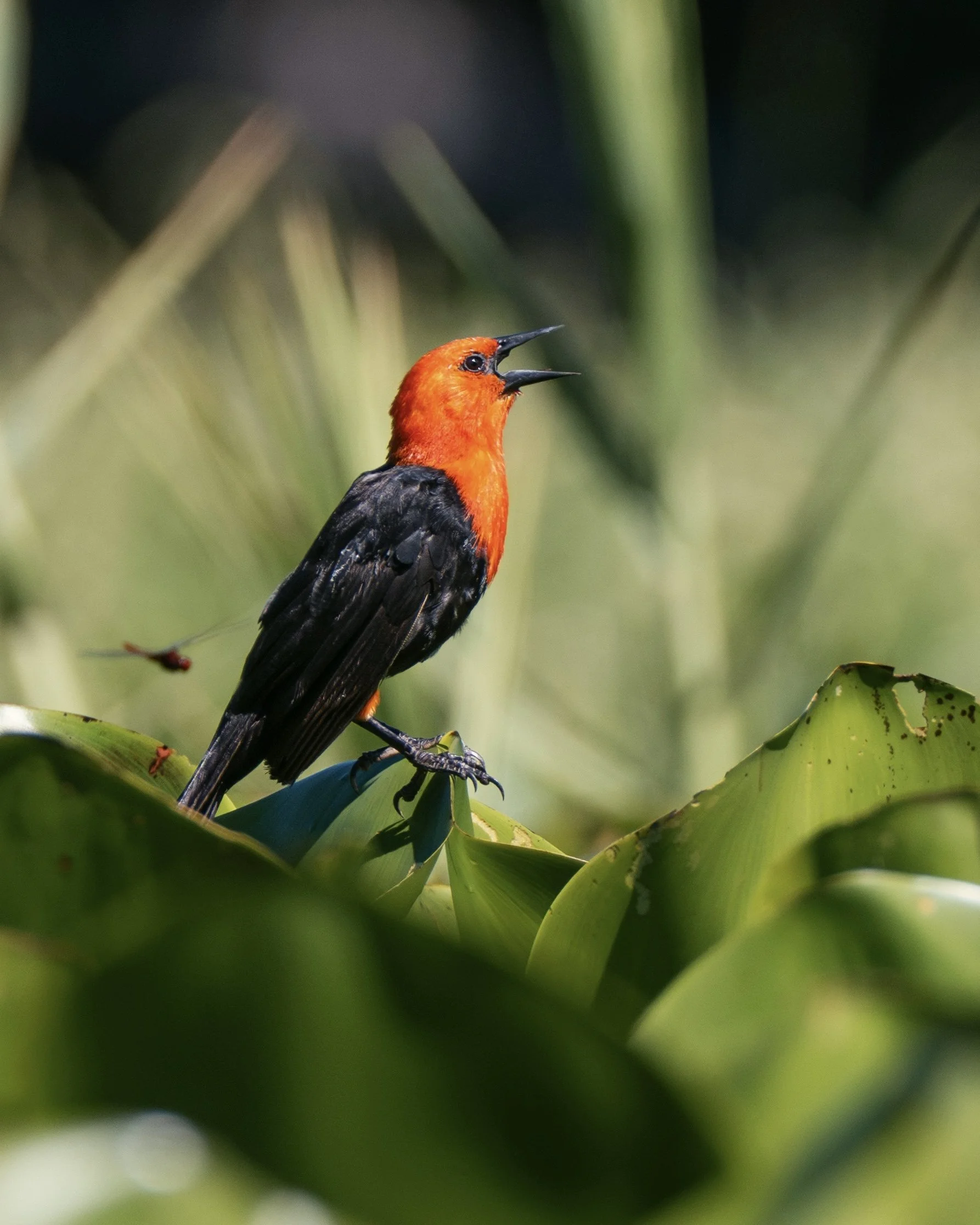 DSC_9009-3_VSCO (1).jpg