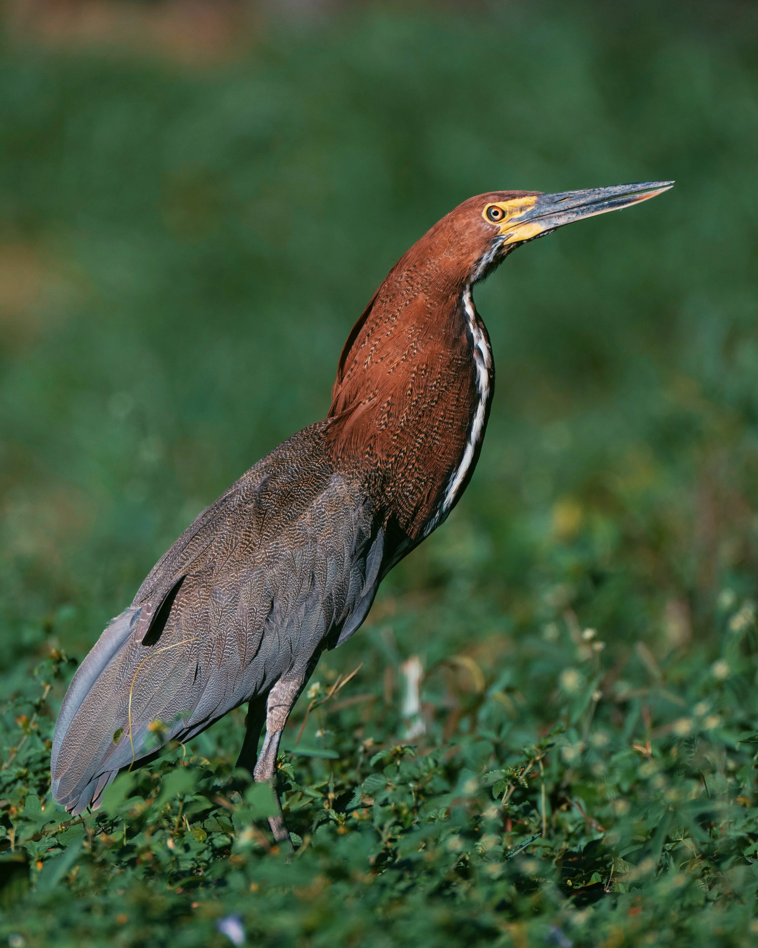 FullSizeRender_VSCO (1).jpg