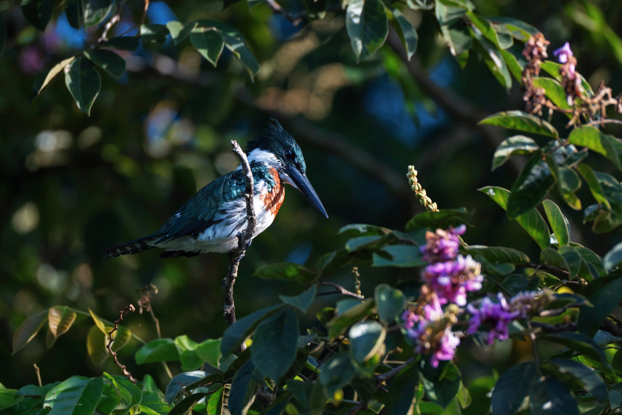 DSC_6287_VSCO (1).jpg