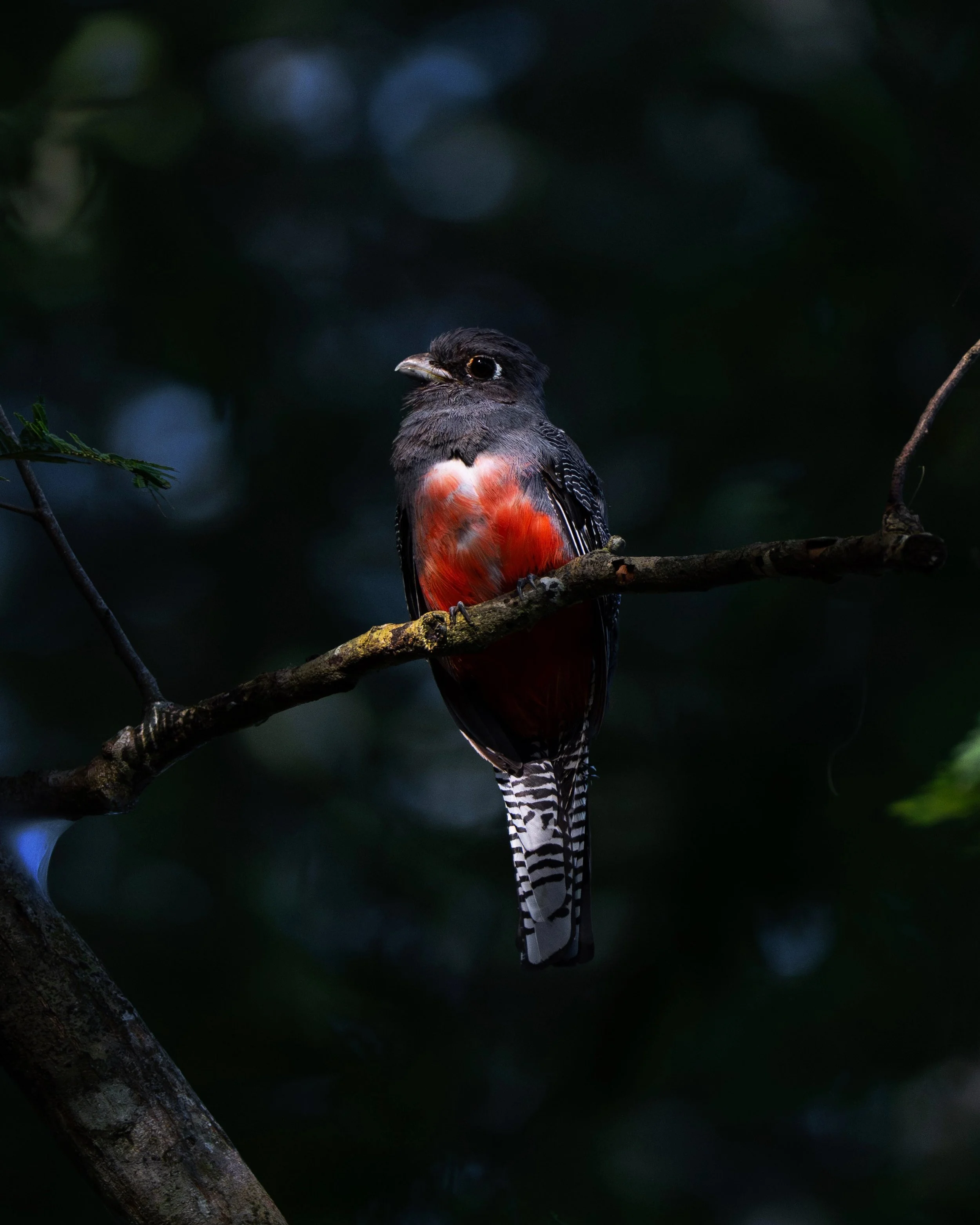 FullSizeRender_VSCO 2.jpg