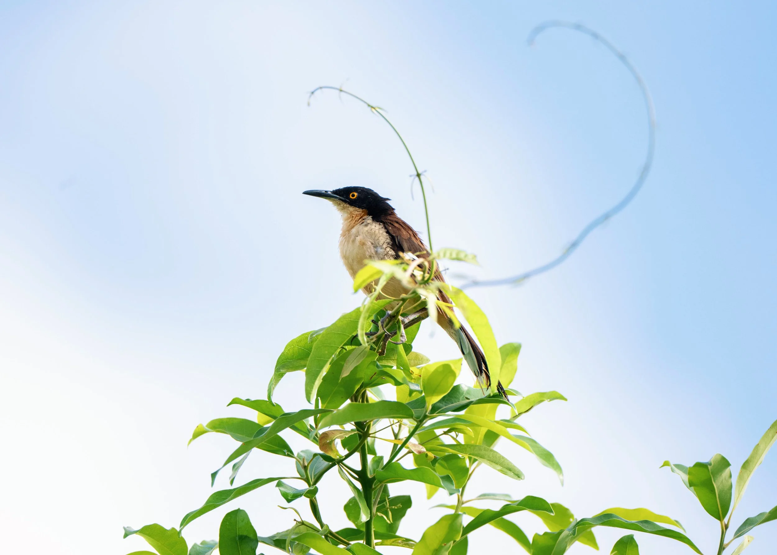 DSC_6420-2_VSCO (1).jpg