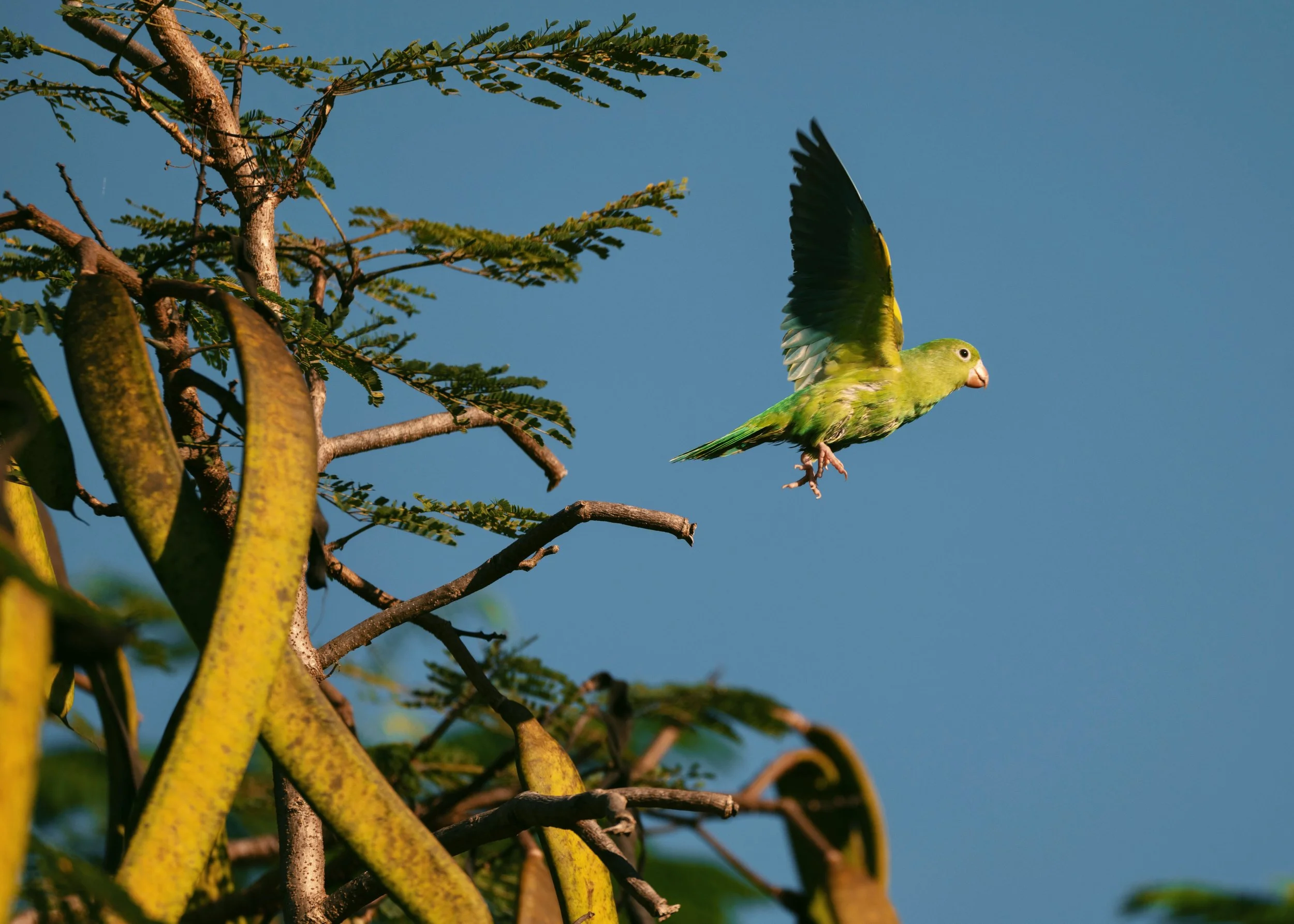 FullSizeRender_VSCO (1) 2.jpg