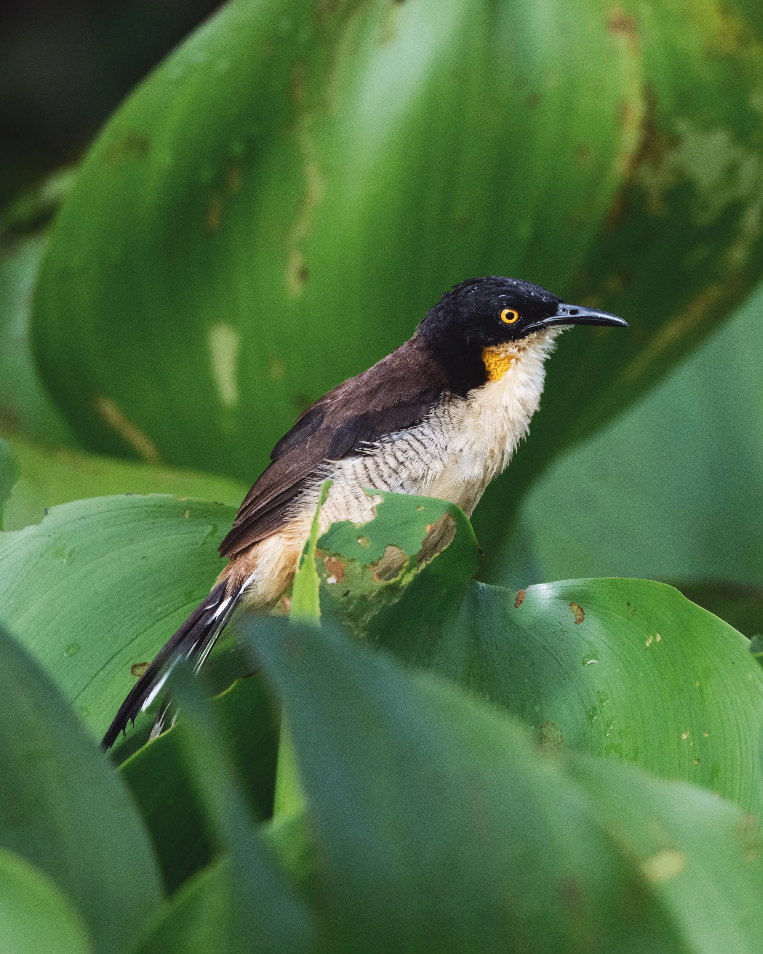 FullSizeRender_VSCO 4.jpg