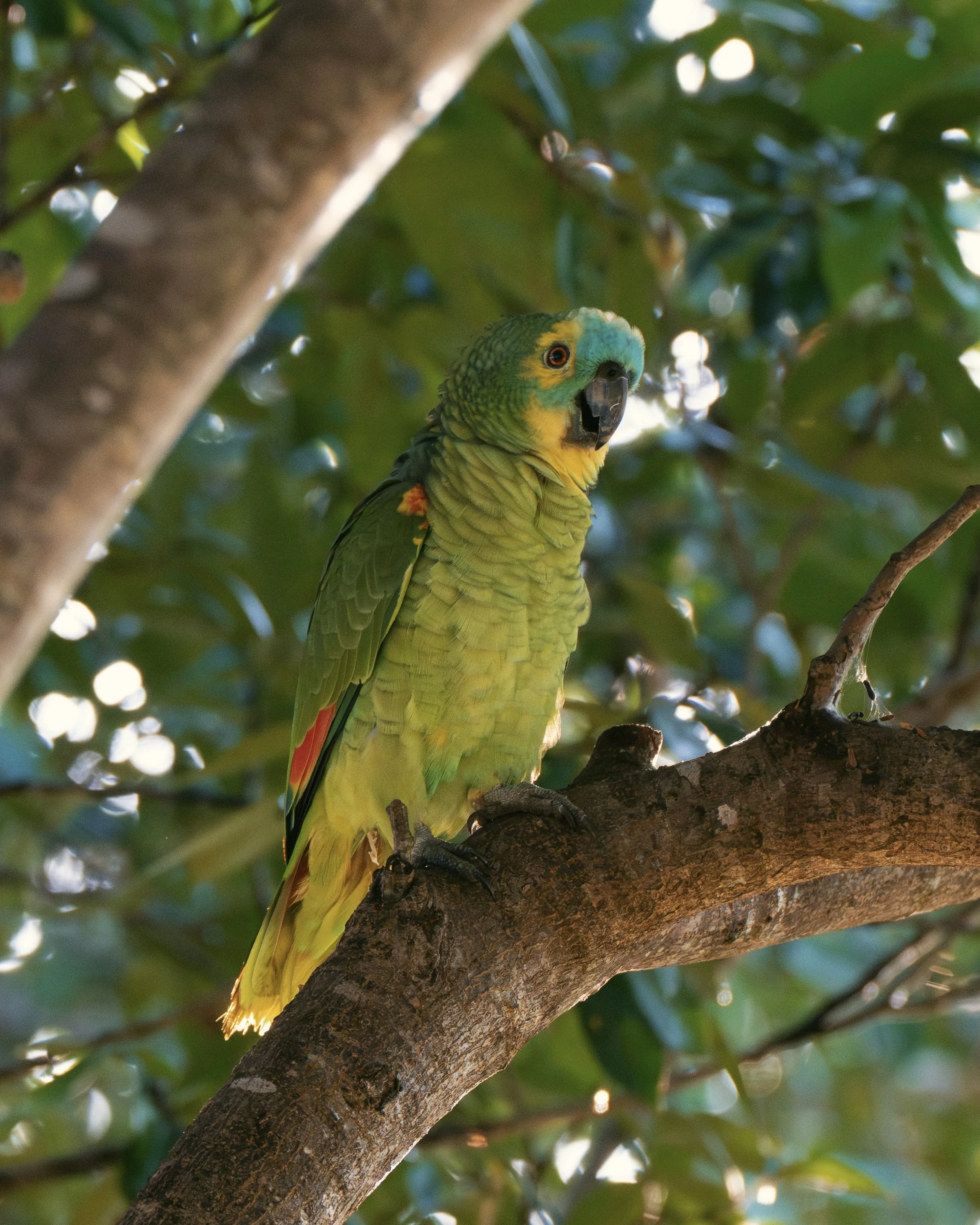 DSC_9746_VSCO (1).jpg