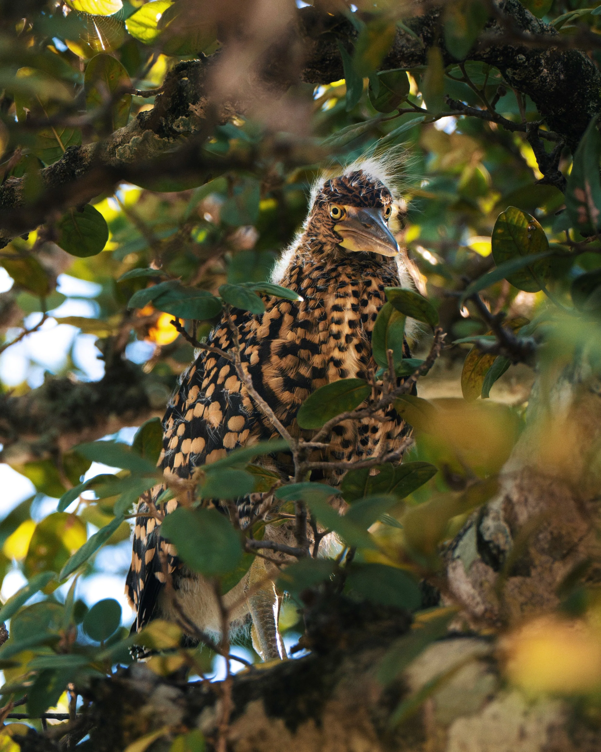 FullSizeRender_VSCO 3.jpg