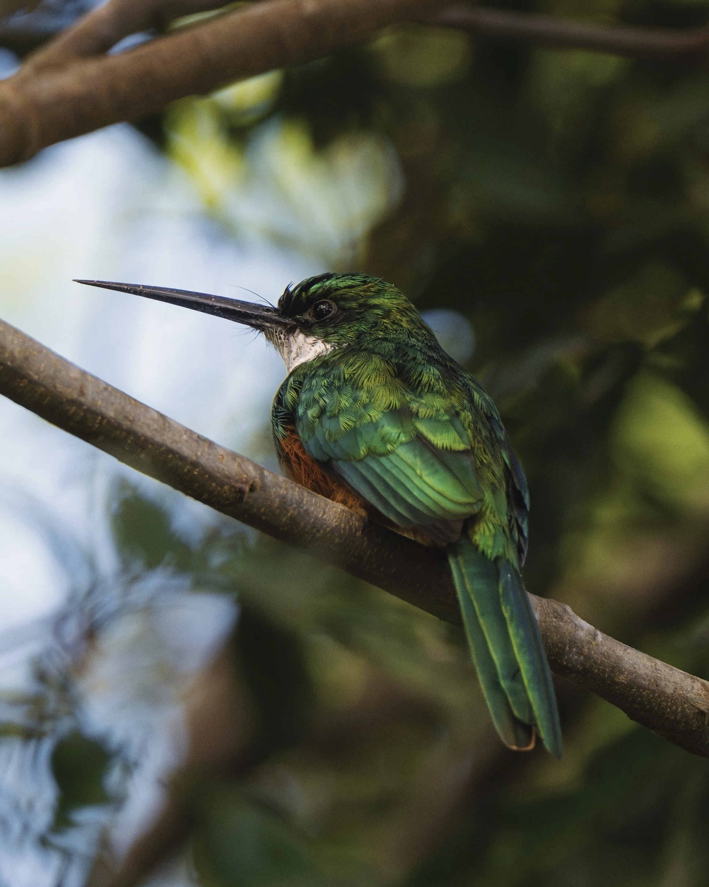 DSC_6723_VSCO (1).jpg