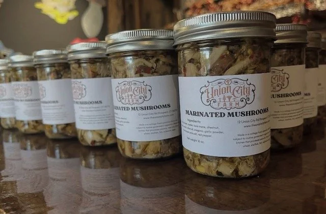 Screenshot 2025-12-17 at 2.21.24 PM.jpeg