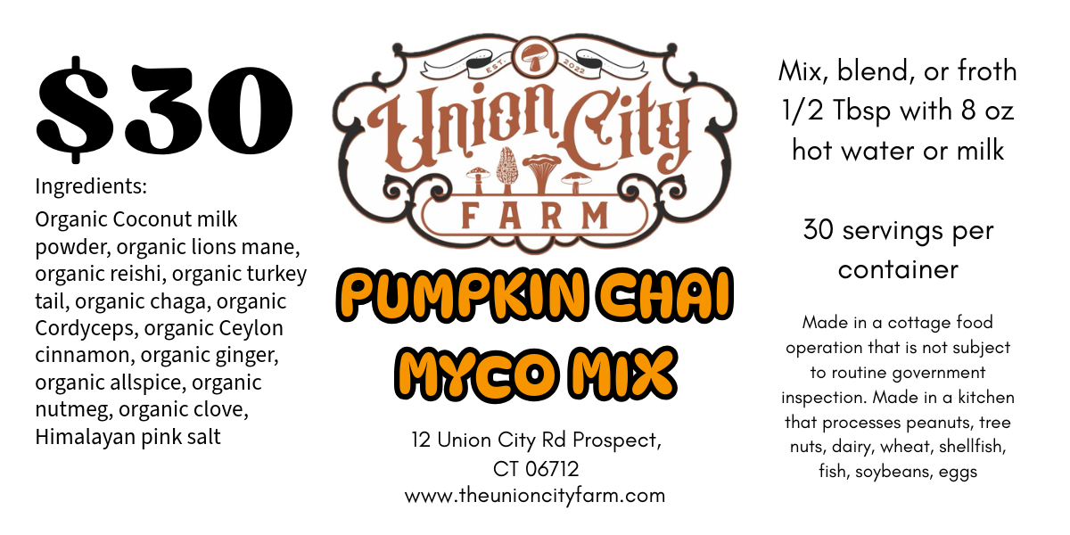 Pumpkin Chai Myco mix