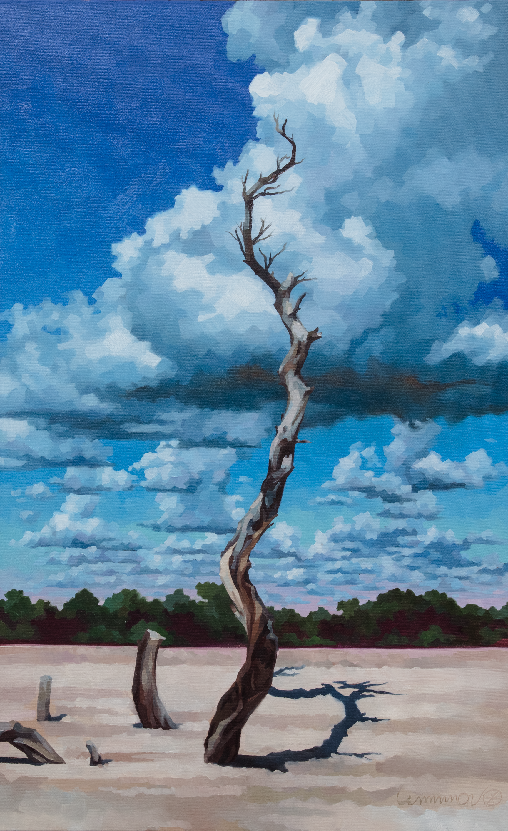 Cape Romano, 48"X36", Oil on Canvas, 2026