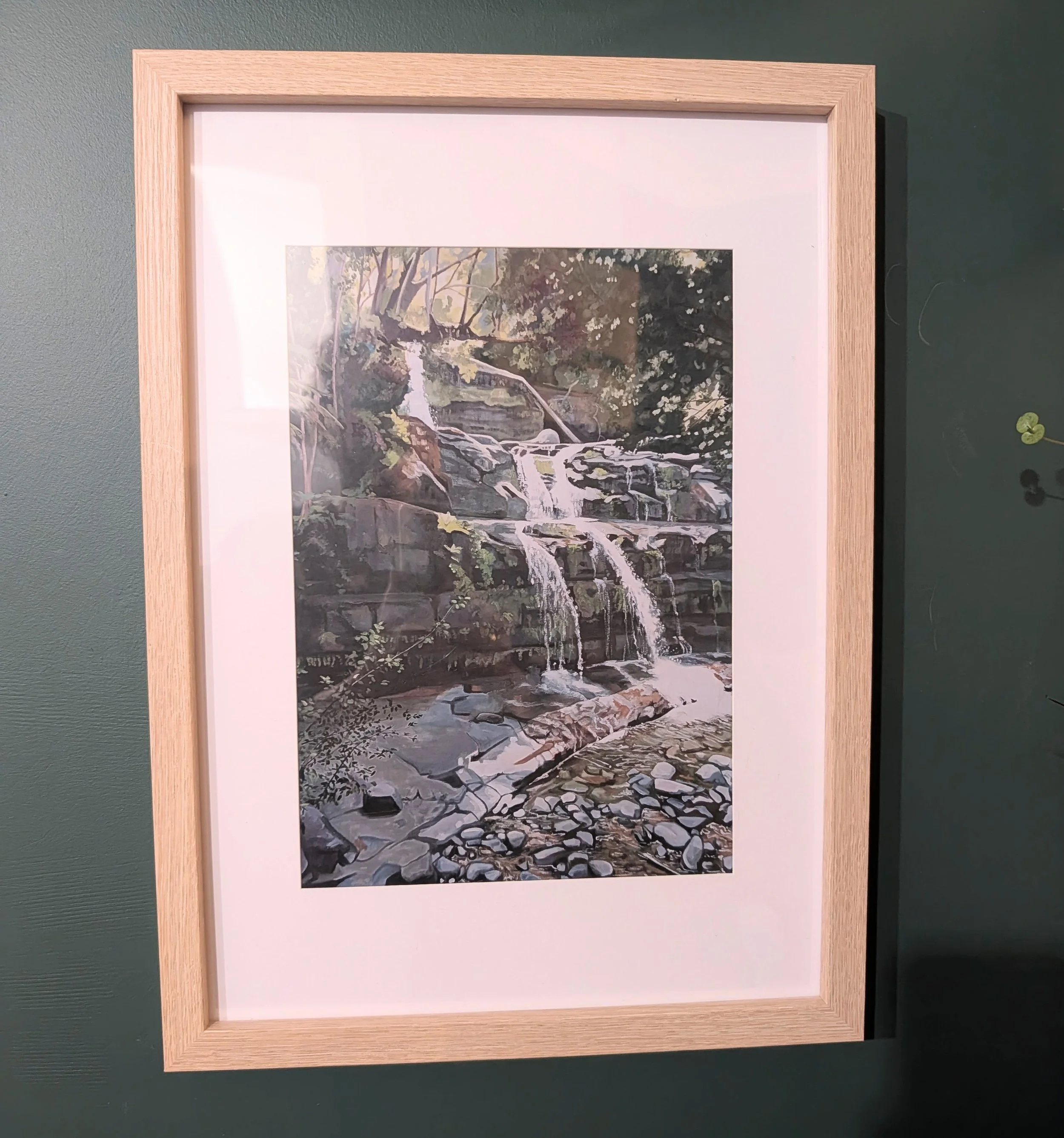 liffey falls in frame.jpg