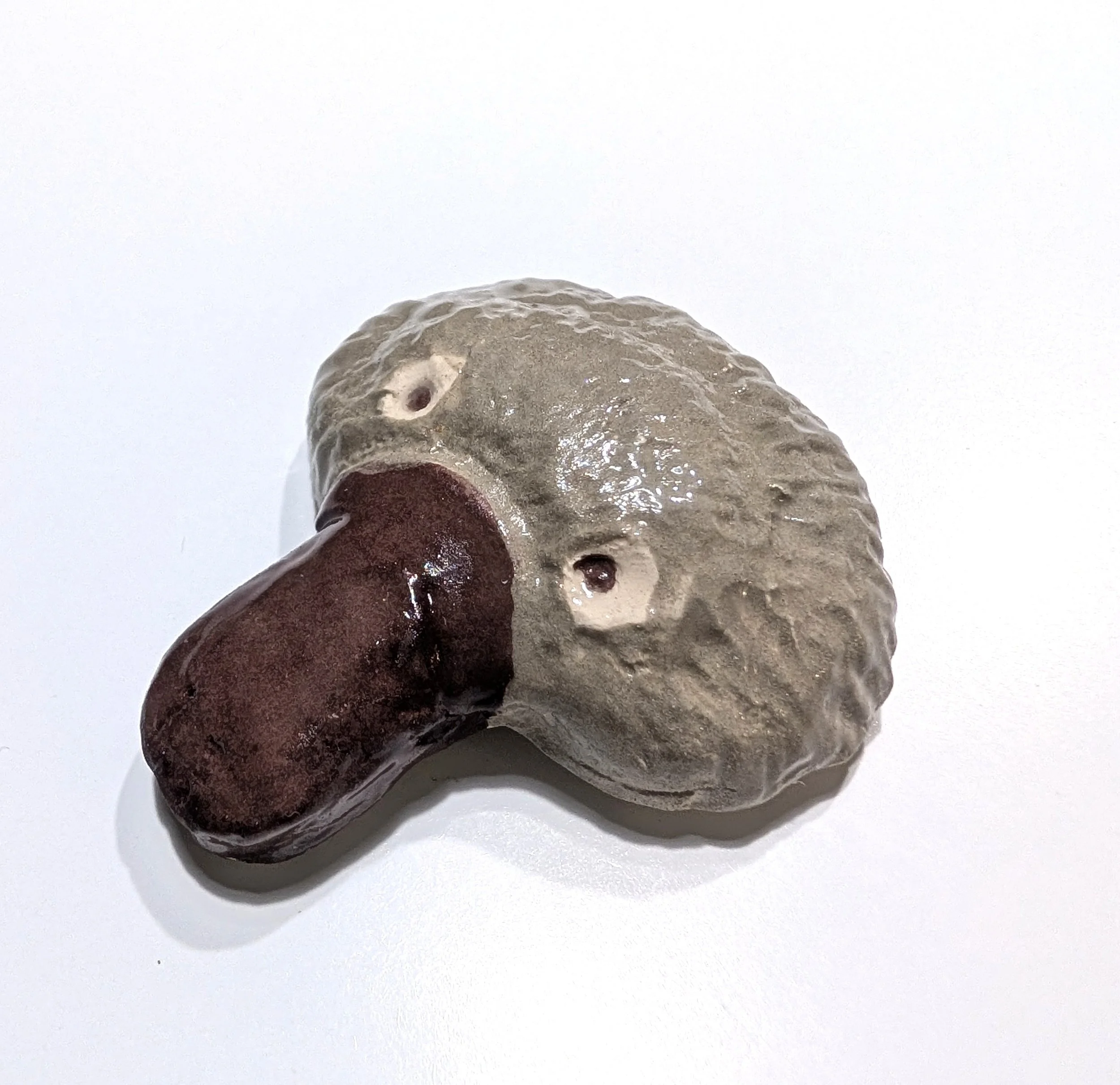 platypus head side.jpg