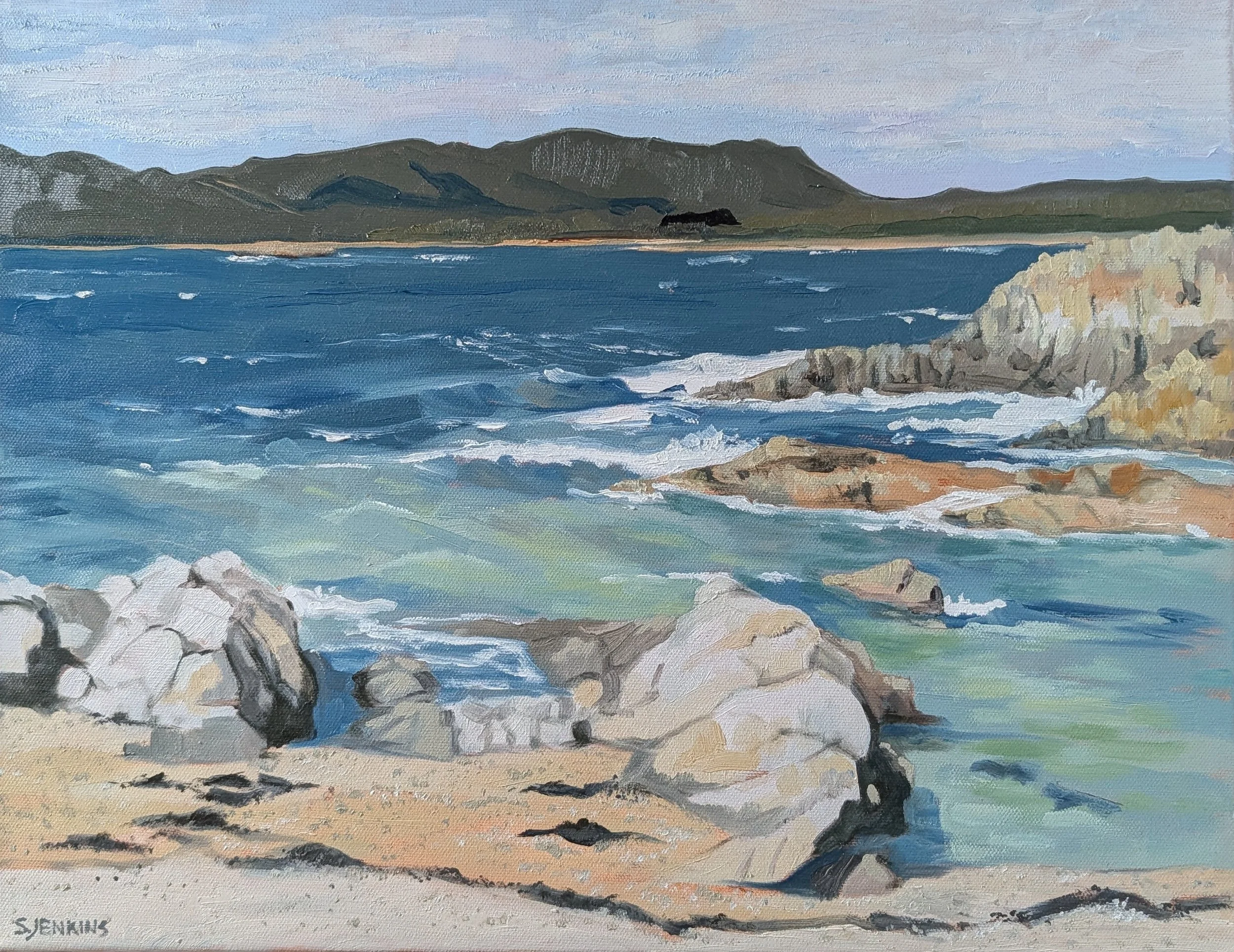 jenkins sandra burgess cove.jpg