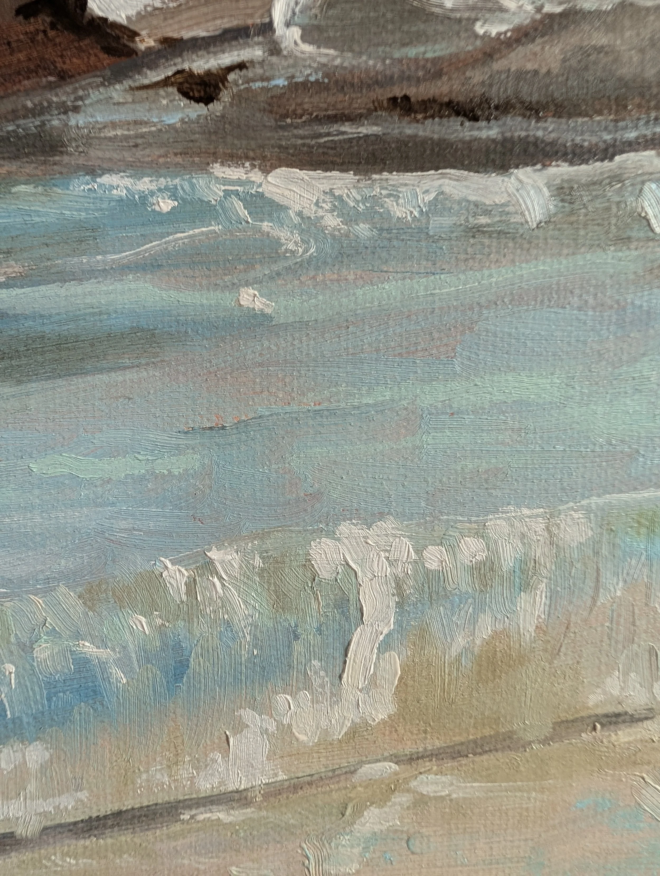 jenkins sandra waubs bay bicheno detail 2.jpg