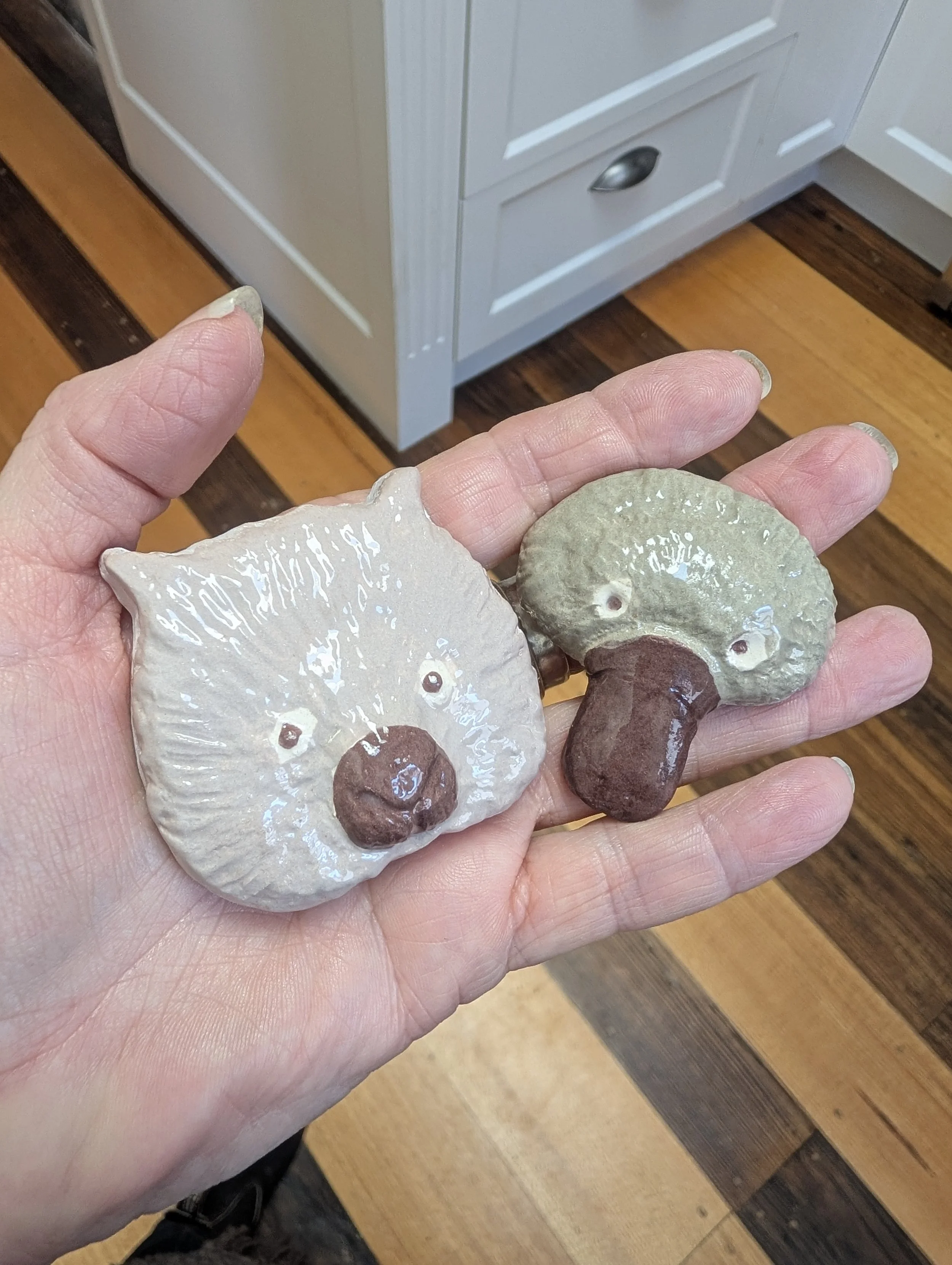 two magnets in hand.jpg