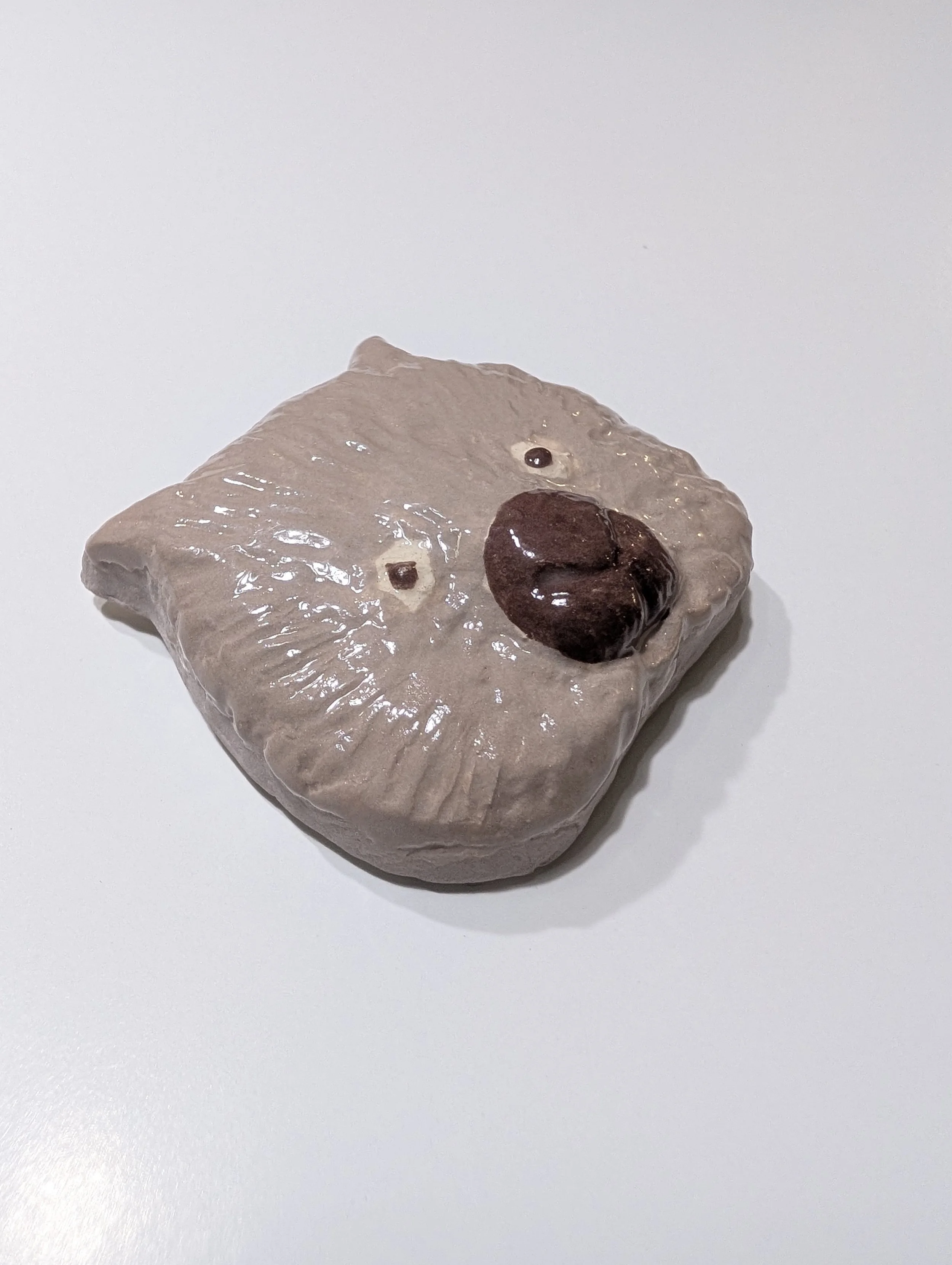 wombat head side.jpg