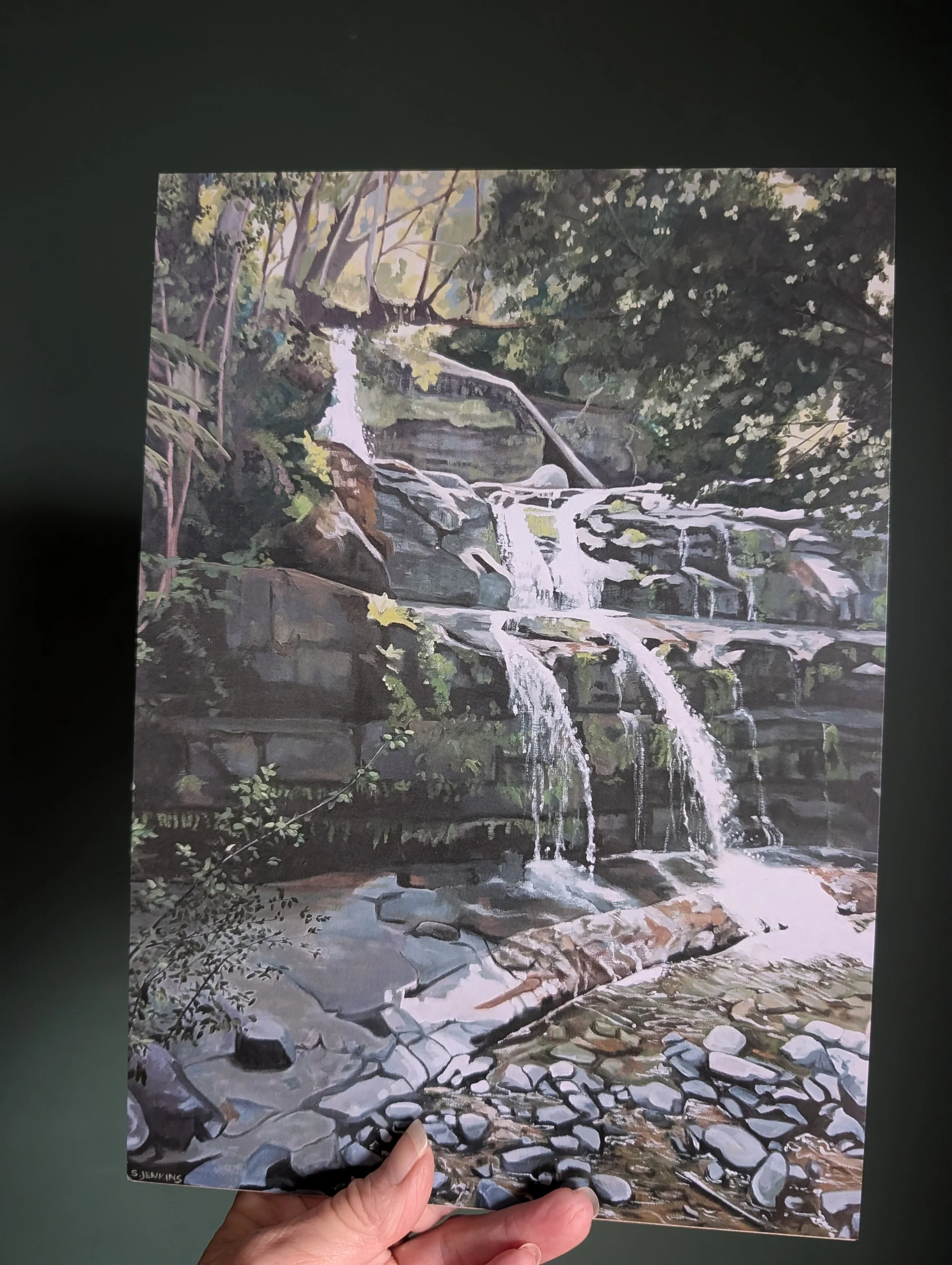 Liffey Falls print
