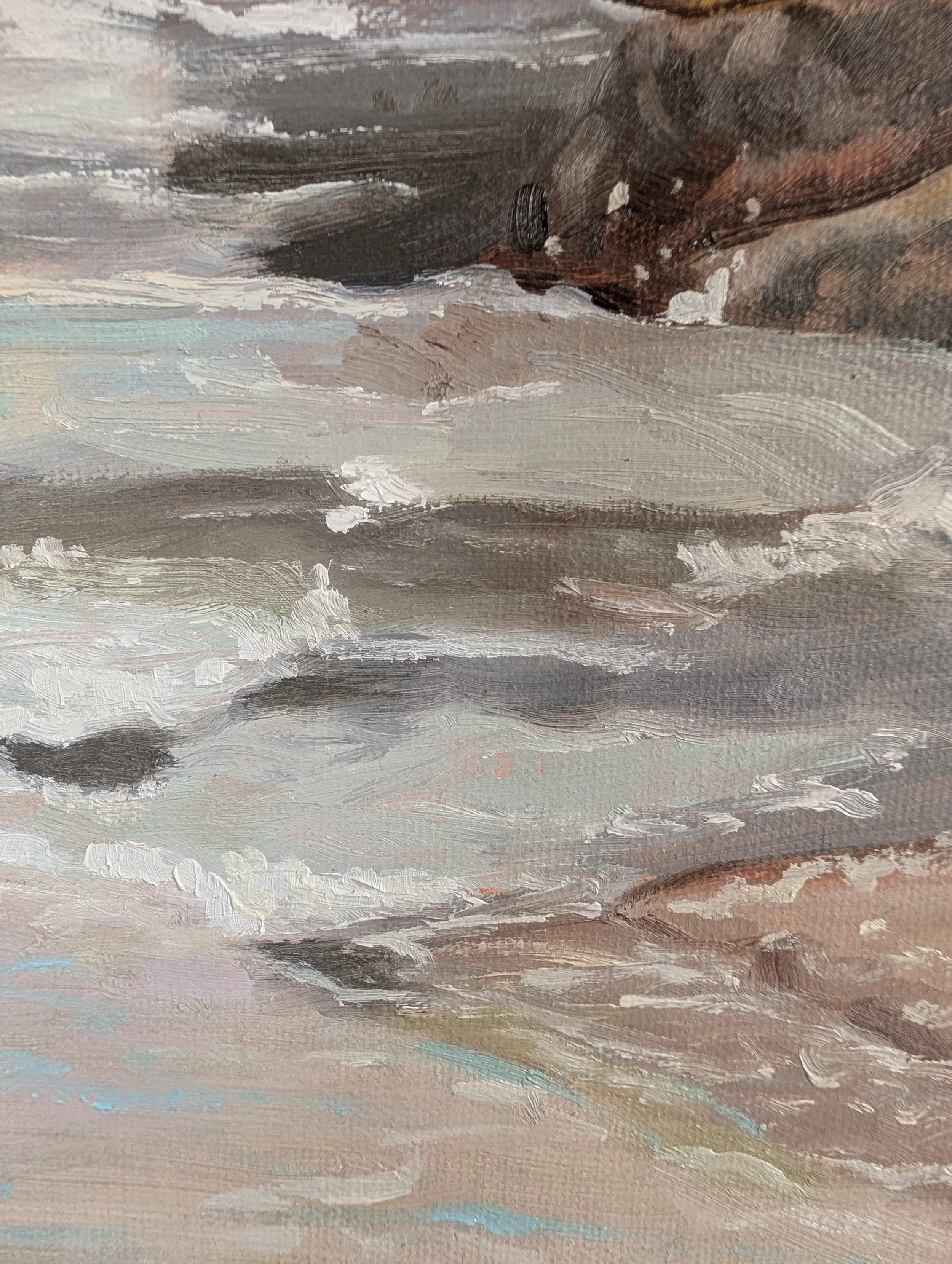 jenkins sandra waubs bay bicheno detail.jpg