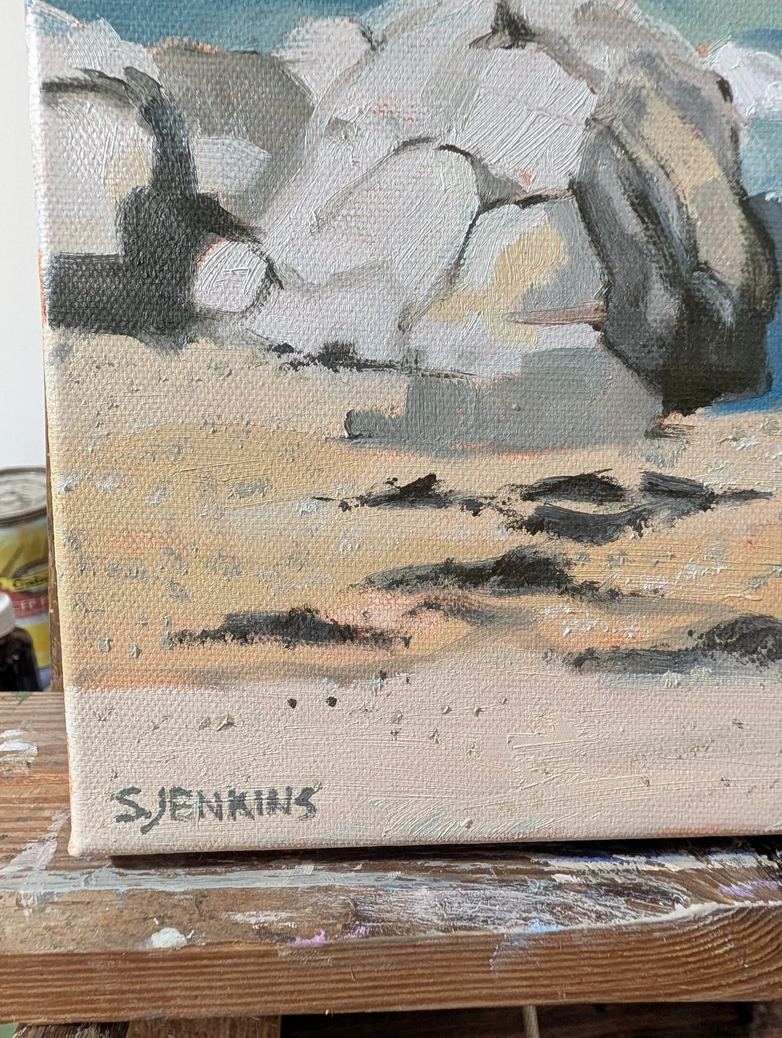 jenkins sandra burgess cove signature.jpg