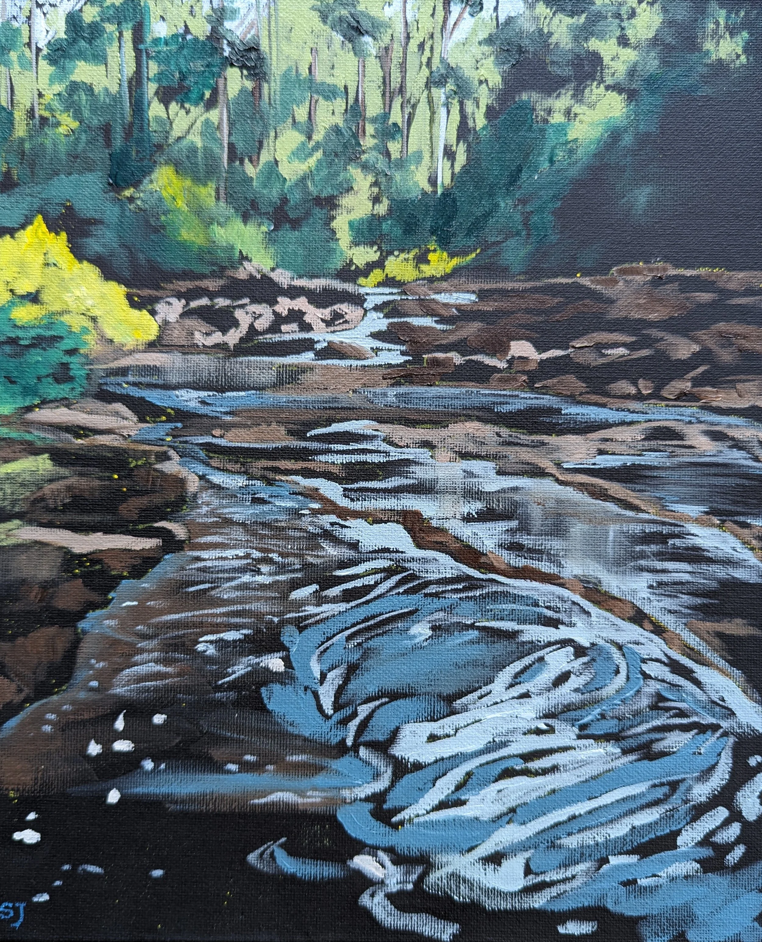 afternoon shadows don river .jpg