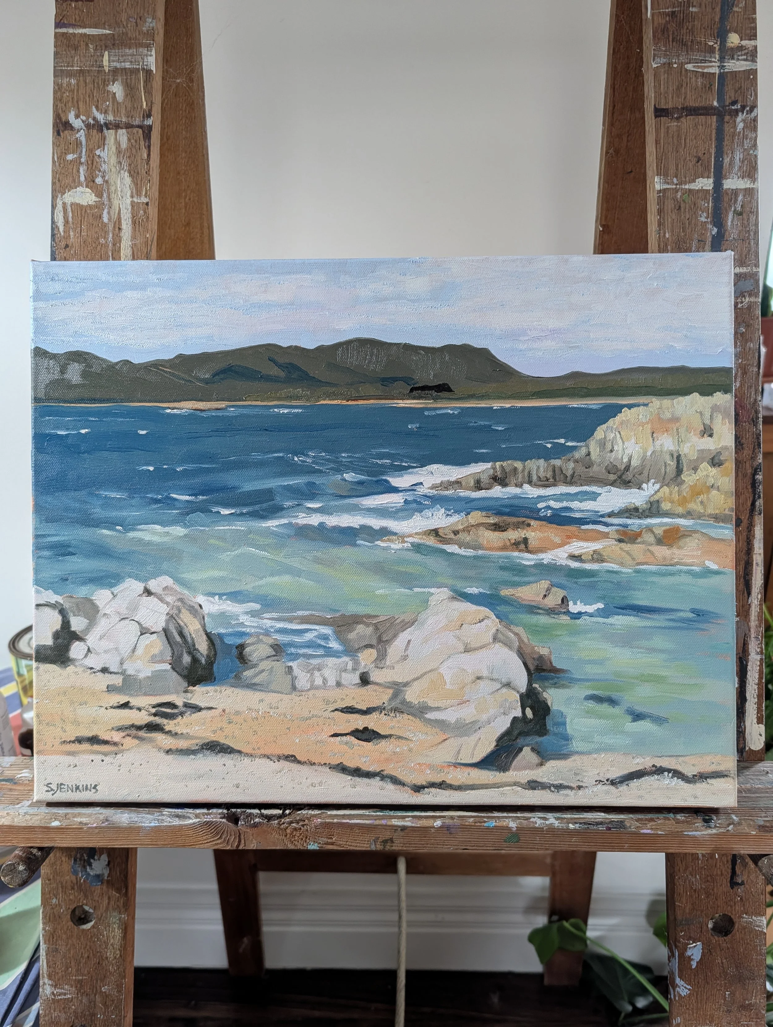 jenkins sandra burgess cove in situ.jpg