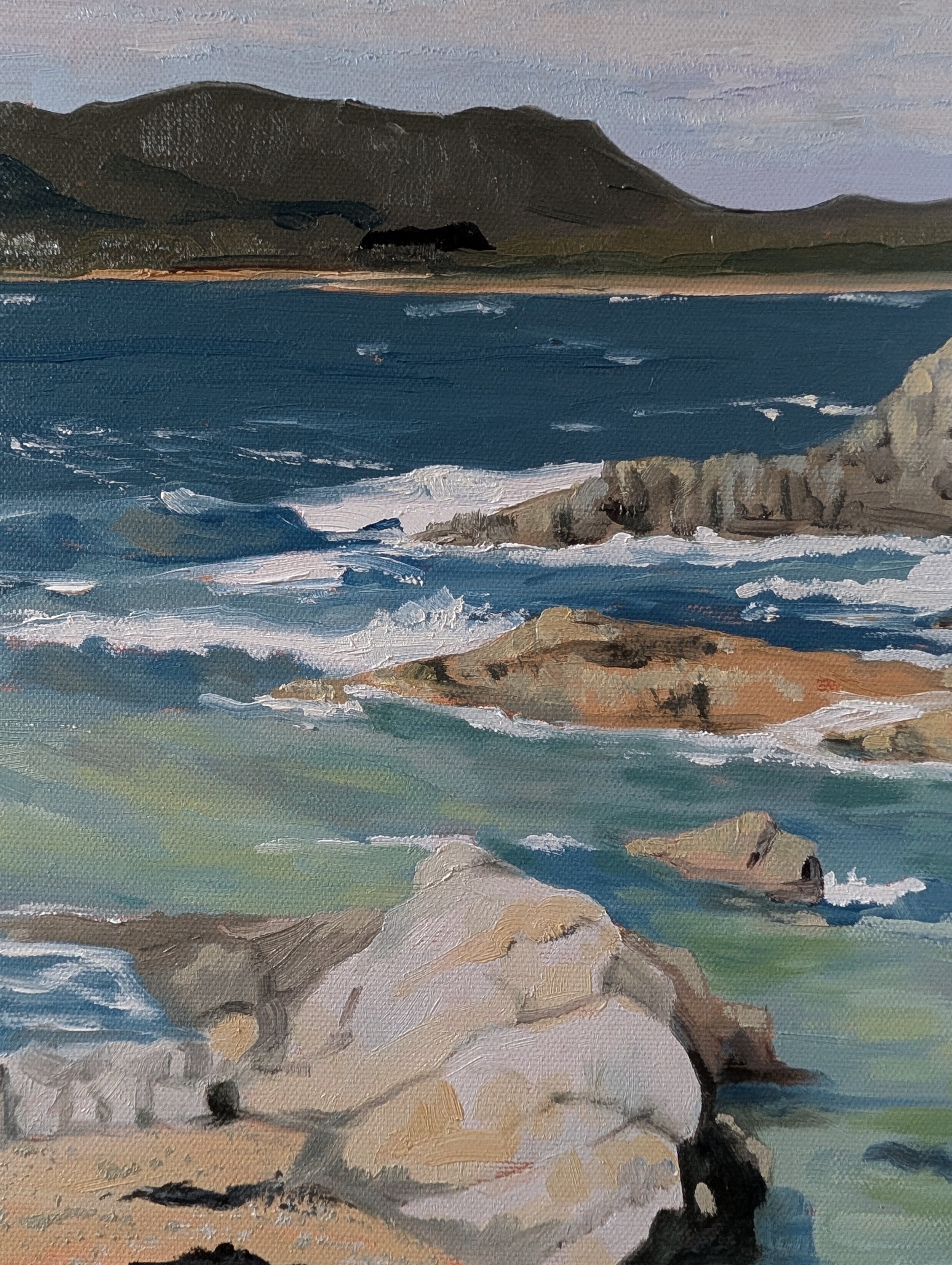 jenkins sandra burgess cove detail.jpg