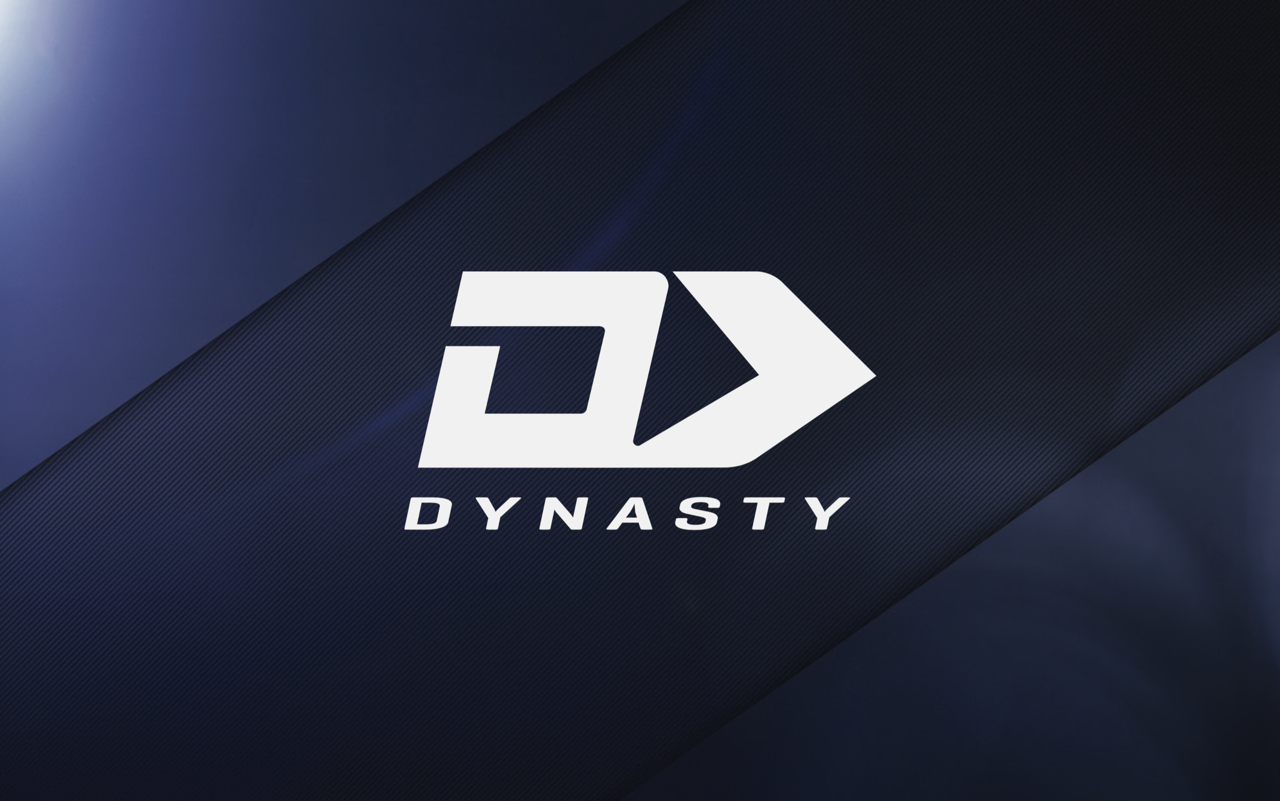 Dynasty Sport New Zealand key interiors painting
